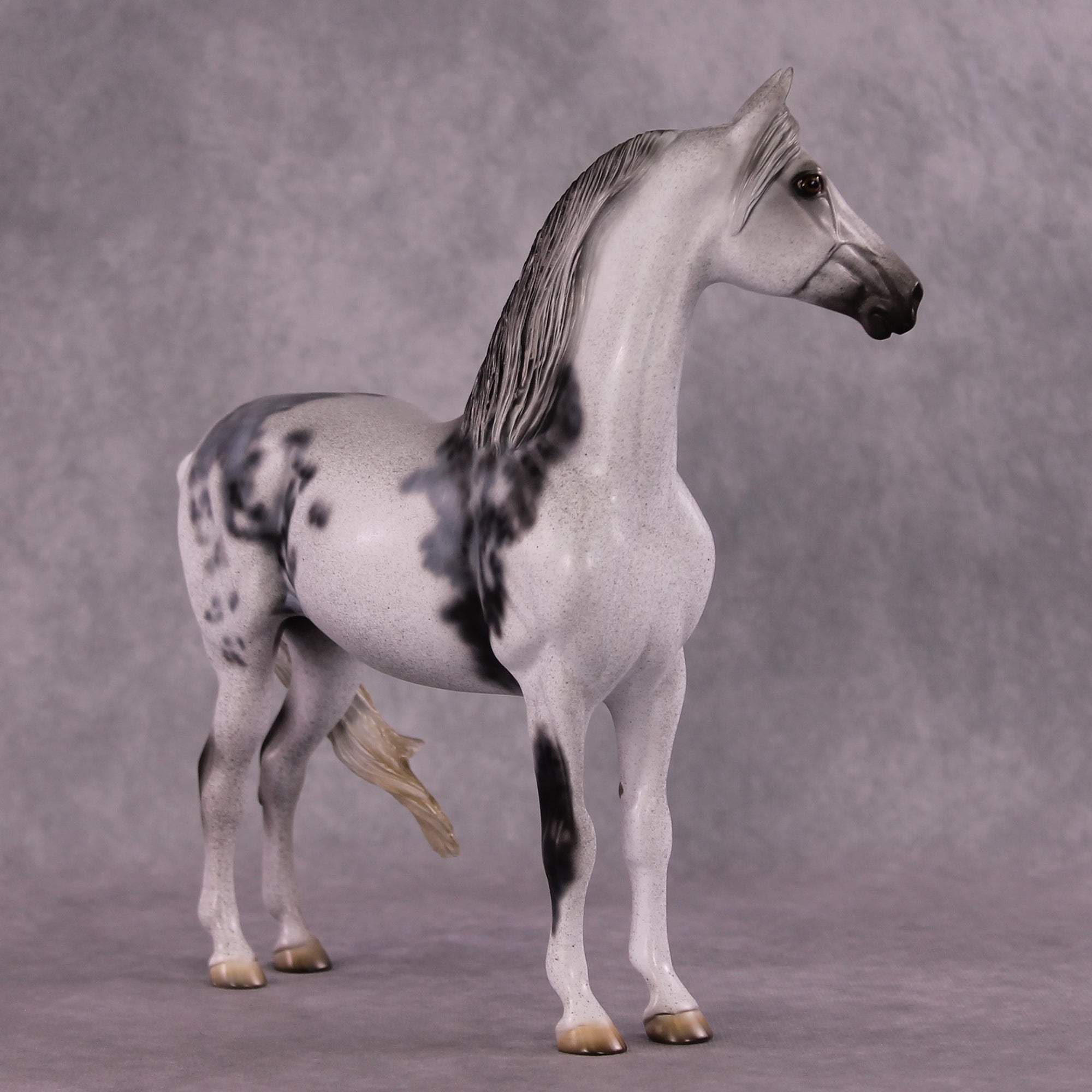 "Herculaneum" OOAK FCM Morgan  by Dawn Quick SHCF25