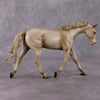 Doc OOAK Cremello Pebble Warmblood By Angela Marleau HS24
