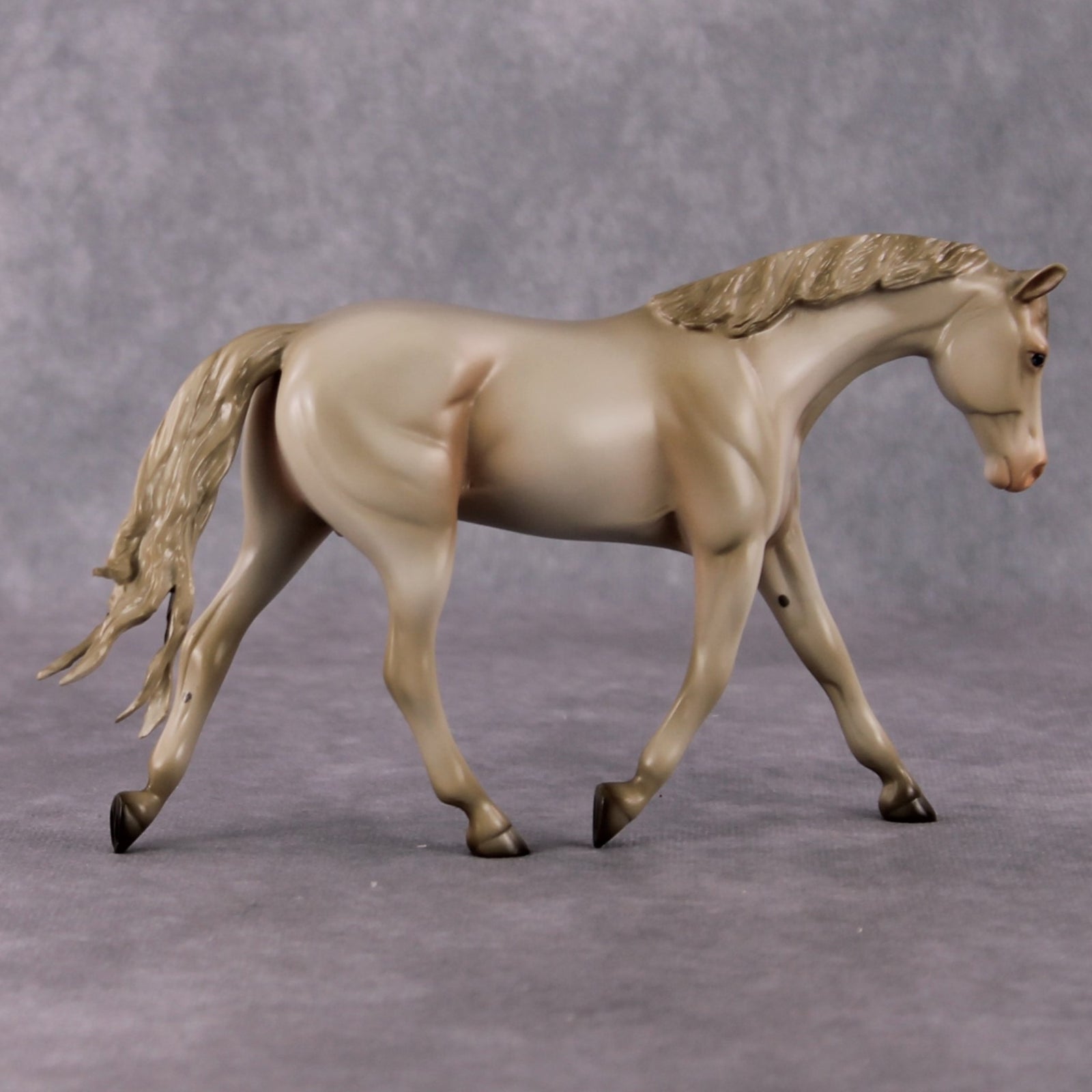 Doc OOAK Cremello Pebble Warmblood By Angela Marleau HS24