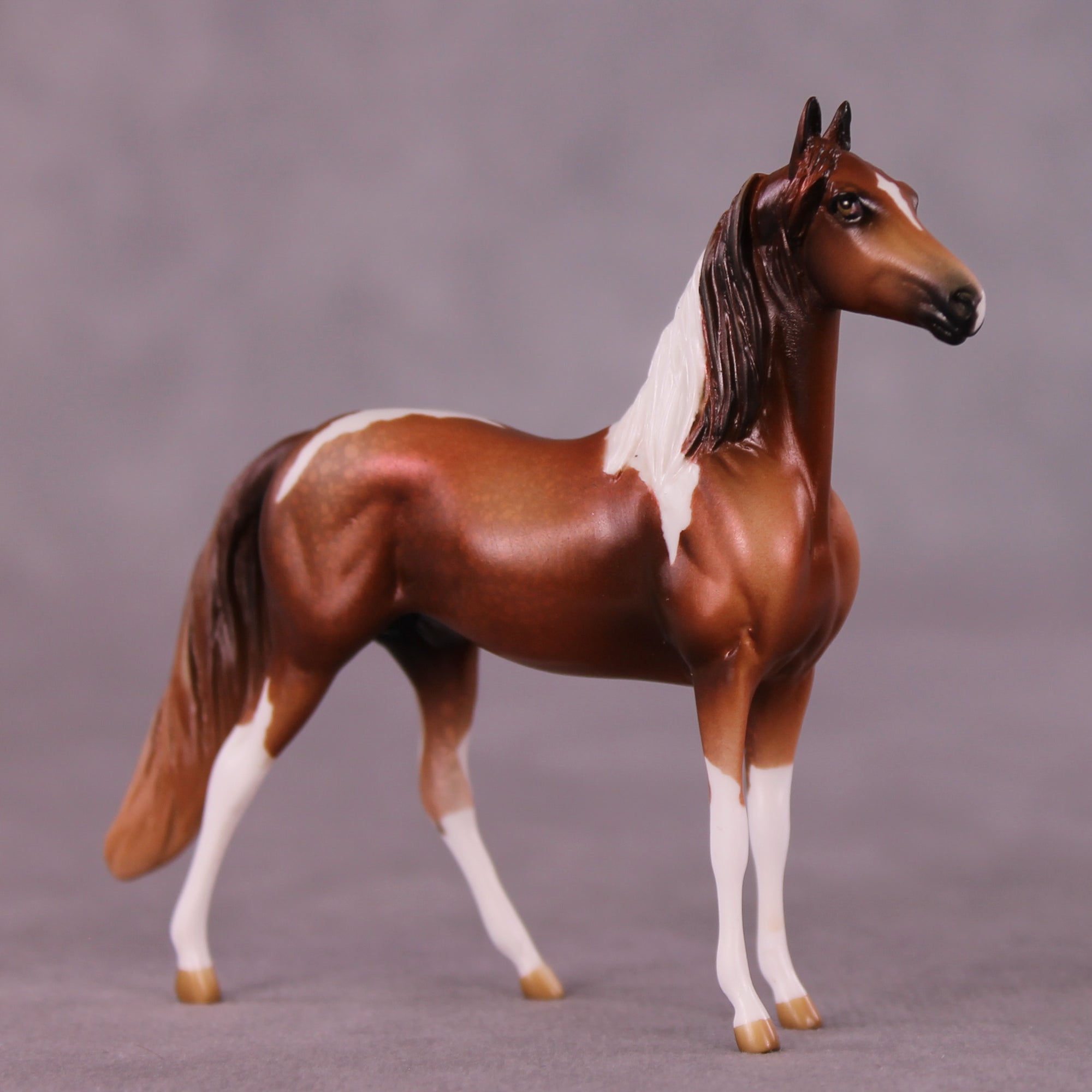 Thaddeus OOAK Morgan Chip by Kike Duarte EQ25