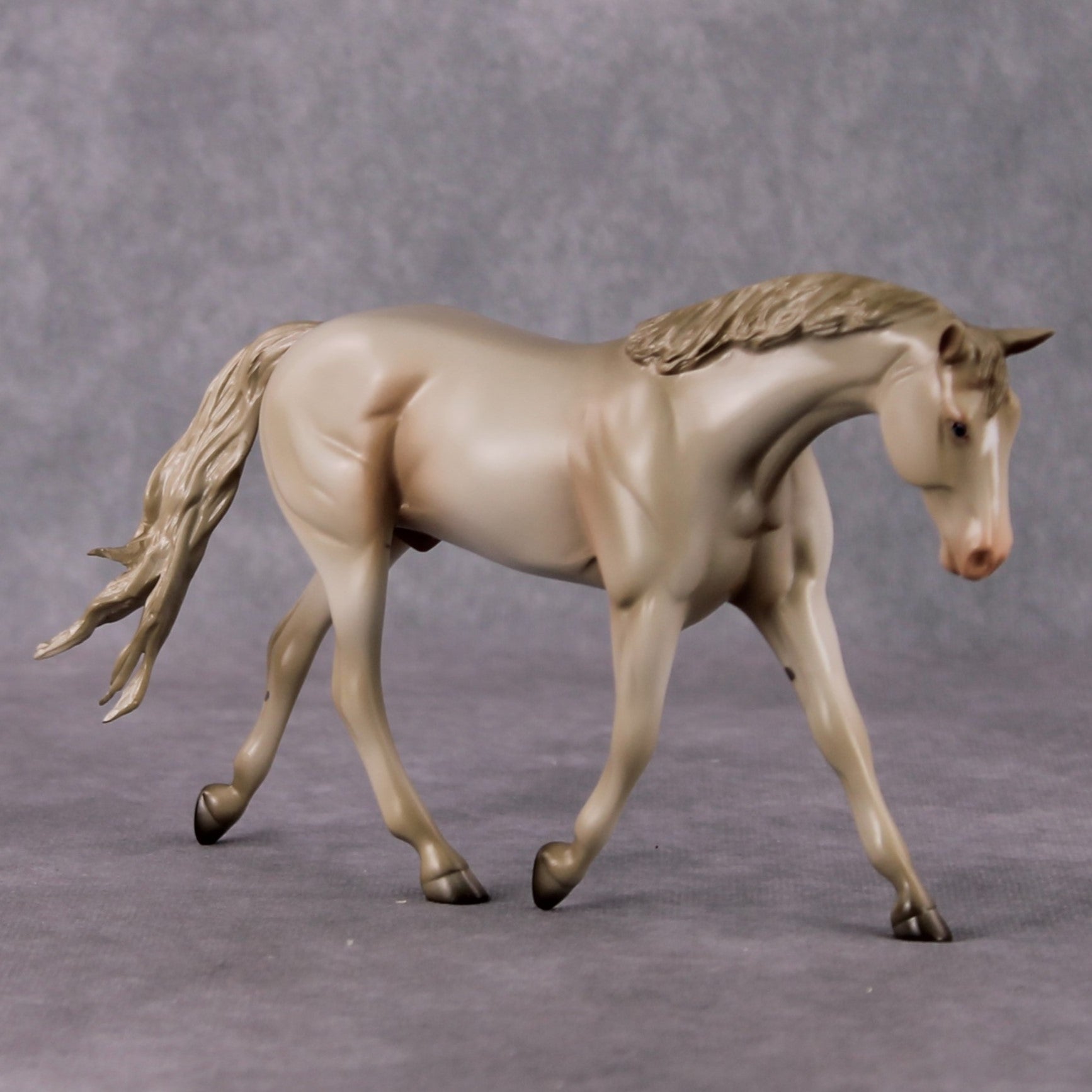 Doc OOAK Cremello Pebble Warmblood By Angela Marleau HS24