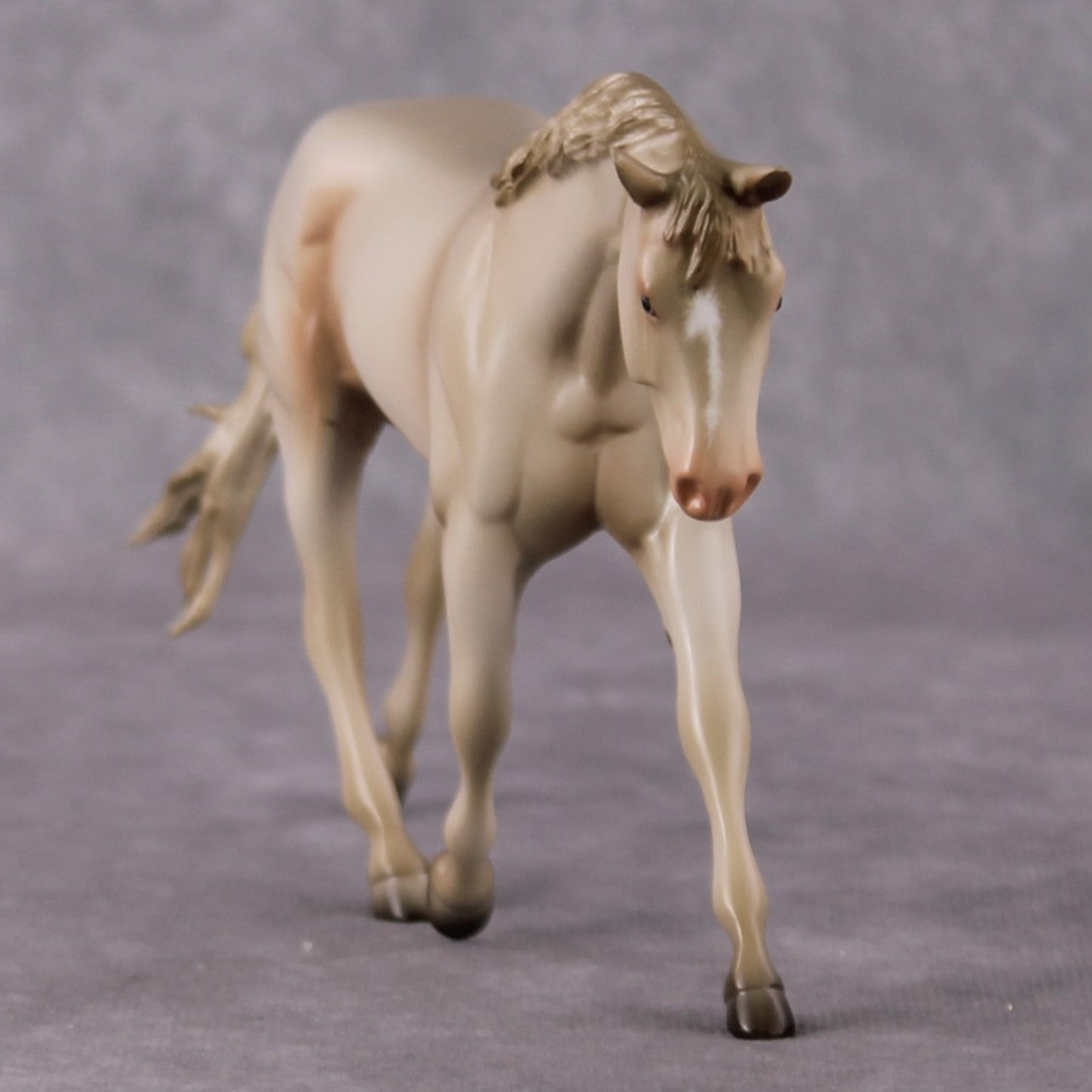 Doc OOAK Cremello Pebble Warmblood By Angela Marleau HS24