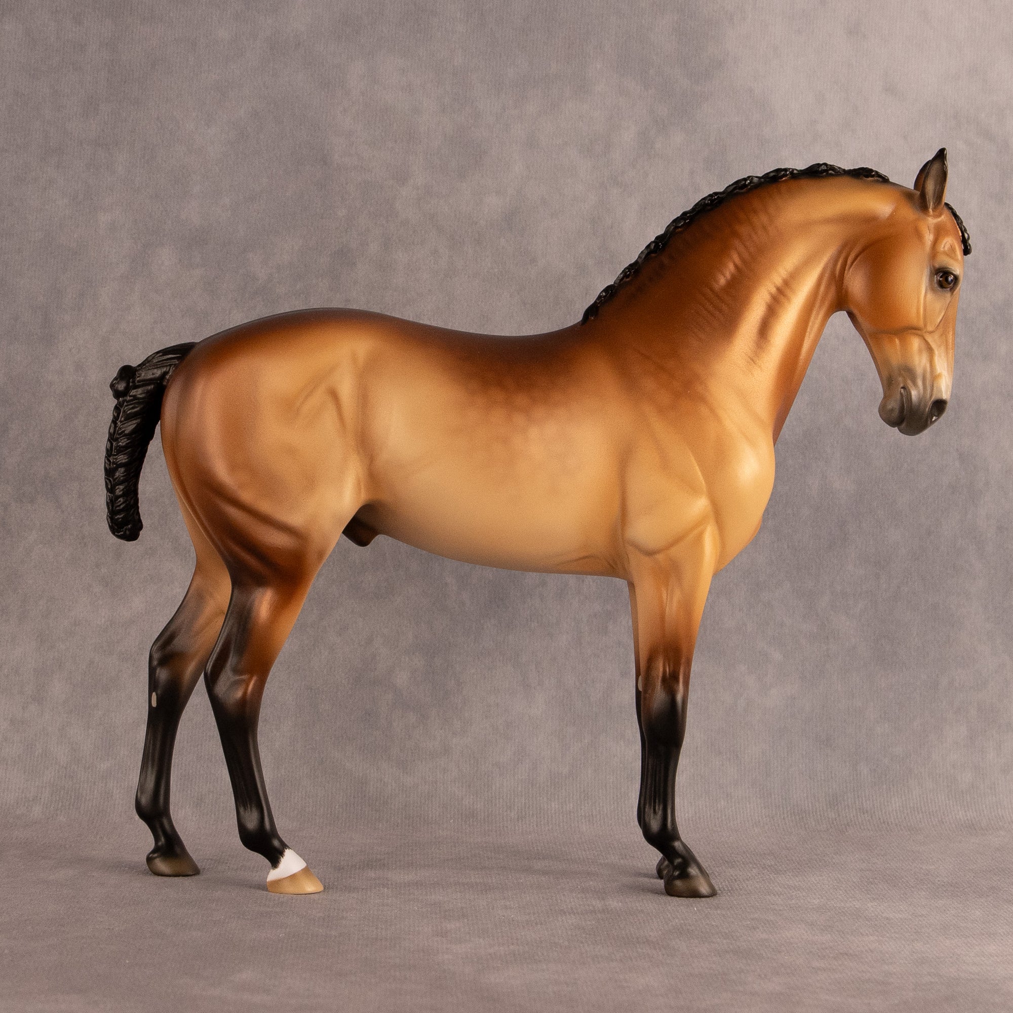 Latitude of Stars OOAK FCM Andalusian by Ellen Robbins EQ26