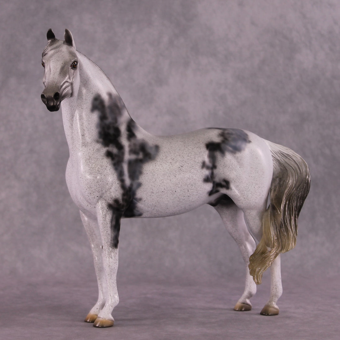 "Herculaneum" OOAK FCM Morgan  by Dawn Quick SHCF25