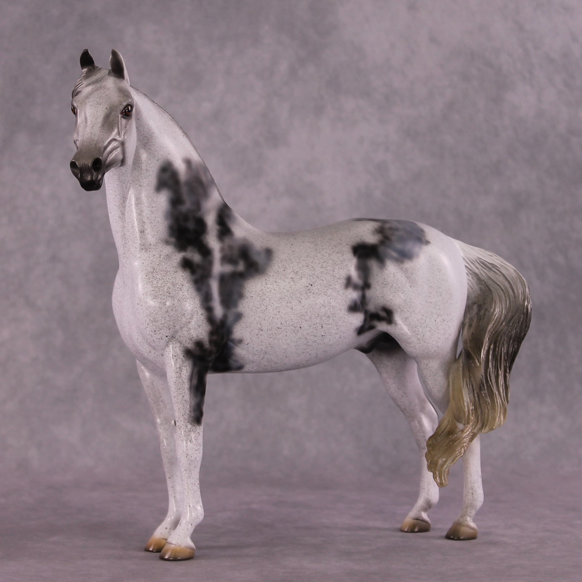 "Herculaneum" OOAK FCM Morgan  by Dawn Quick SHCF25