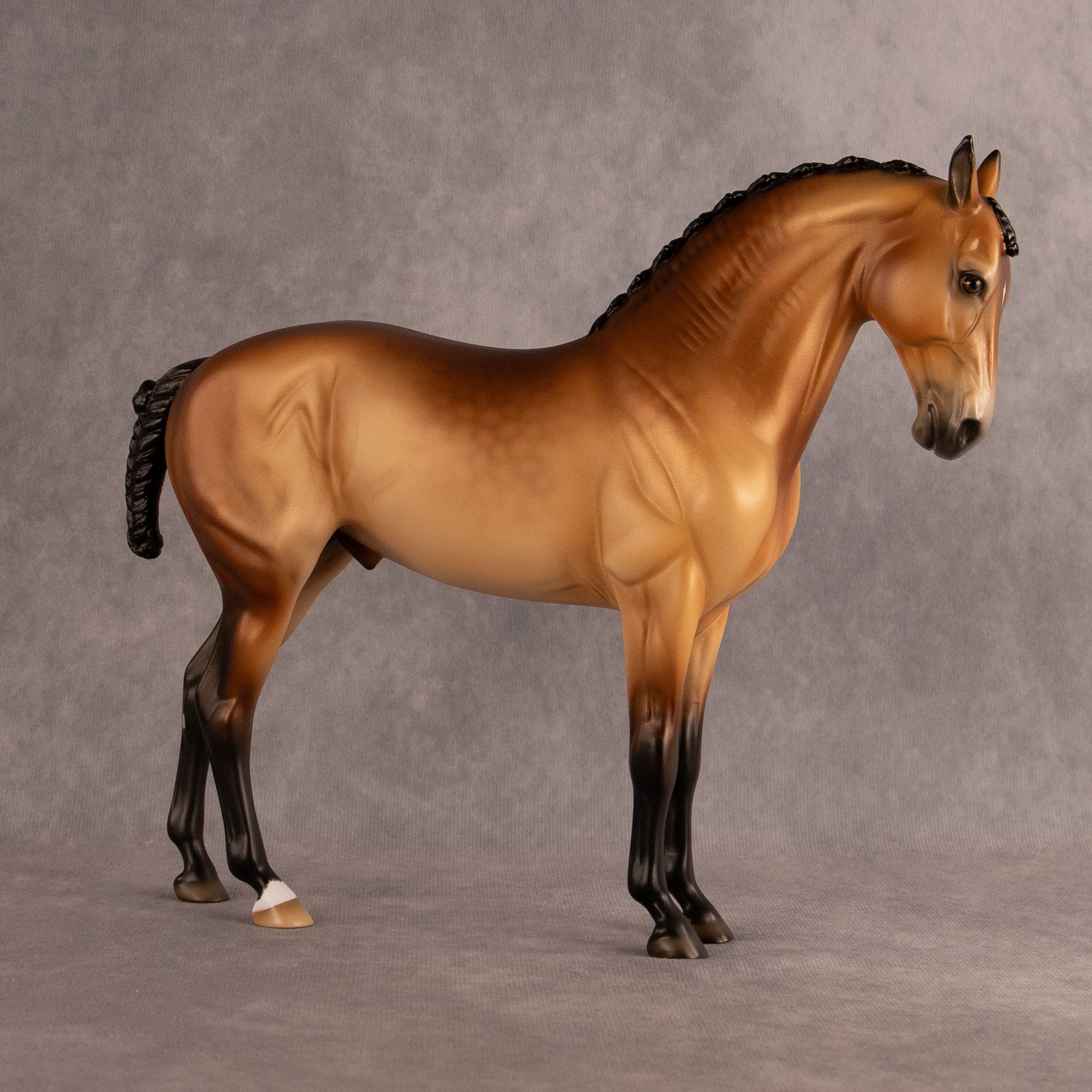 Latitude of Stars OOAK FCM Andalusian by Ellen Robbins EQ26