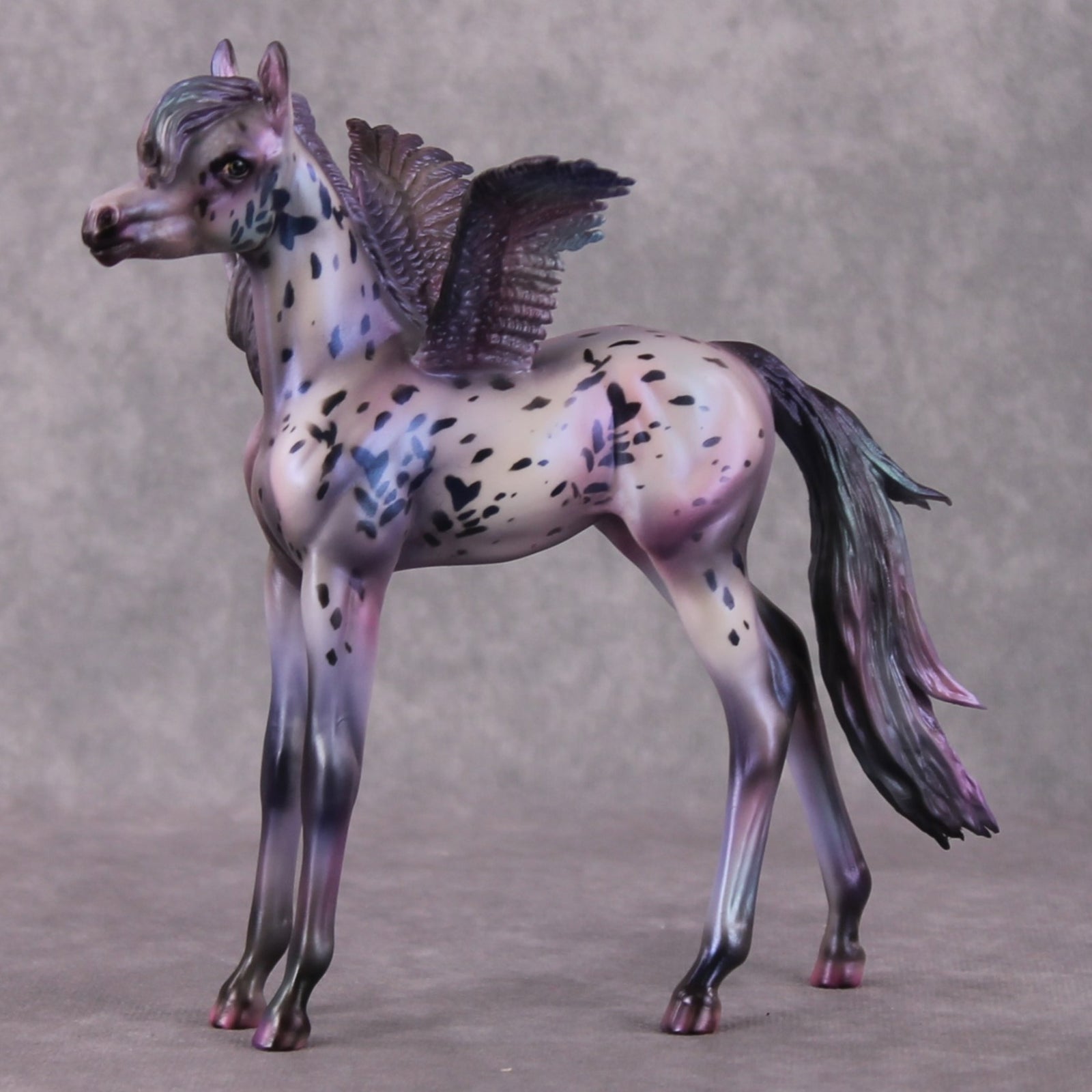 PegaSis OOAK Arab Foal Painted By Julie Keim HS24 Best Offer