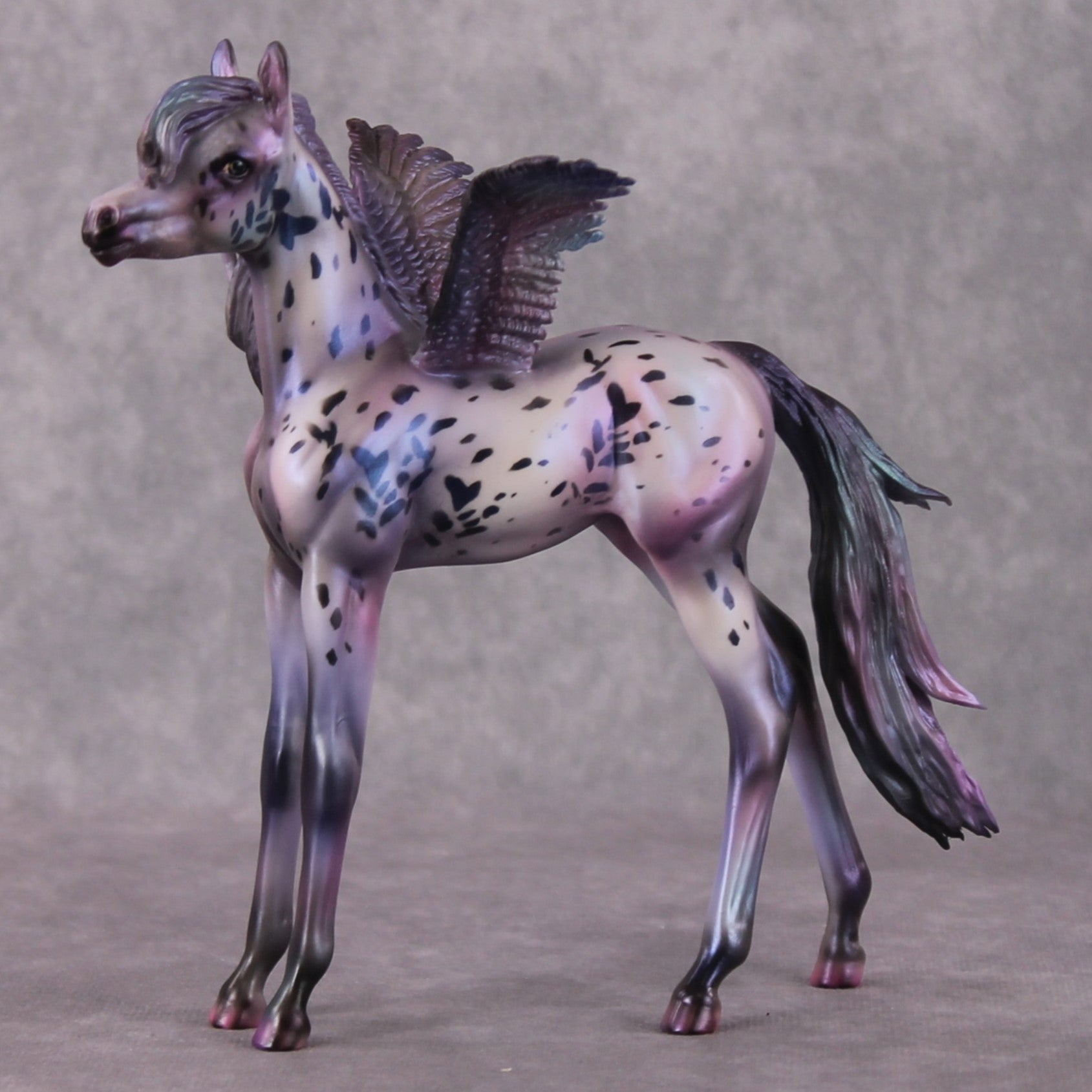 PegaSis OOAK Arab Foal Painted By Julie Keim HS24 Best Offer