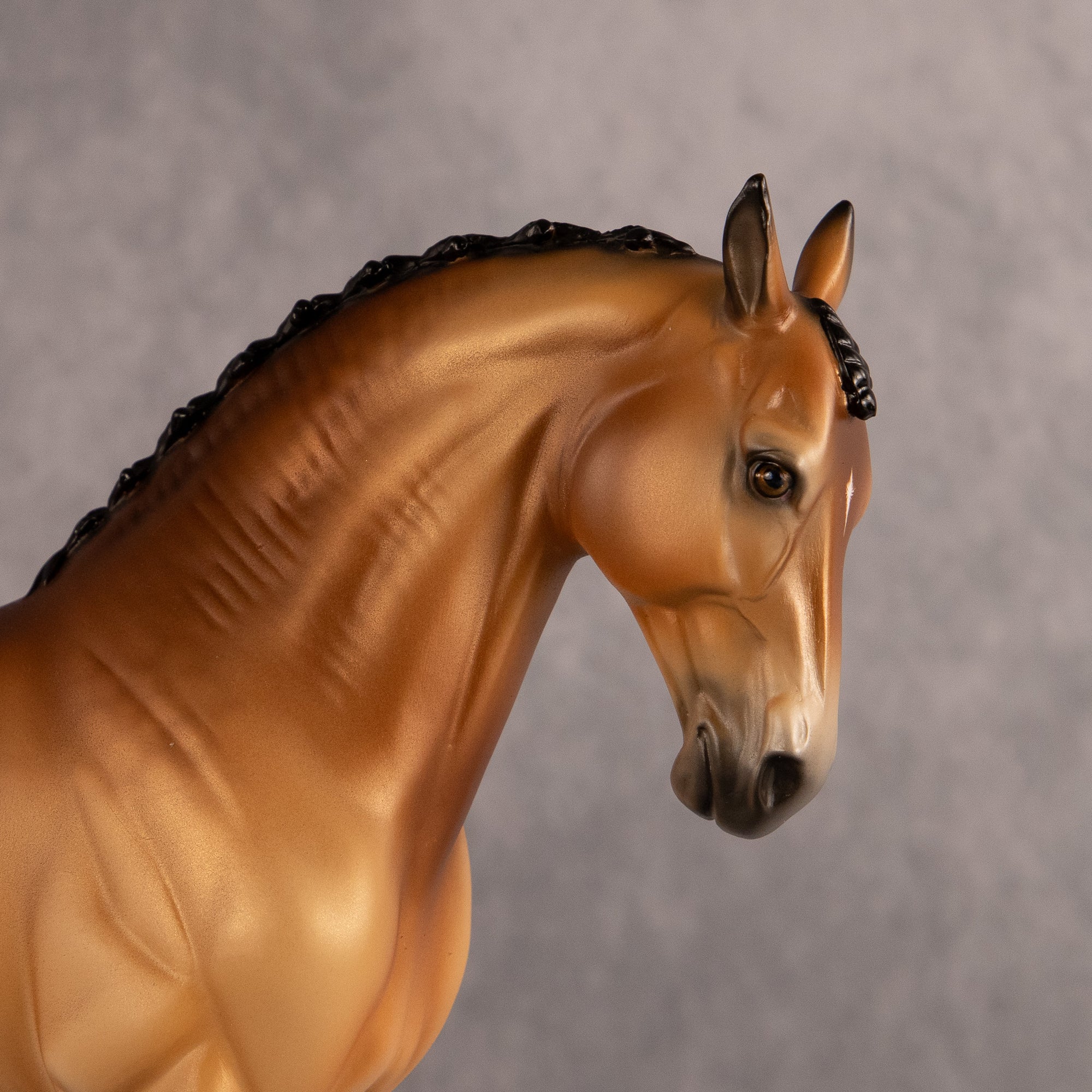 Latitude of Stars OOAK FCM Andalusian by Ellen Robbins EQ26