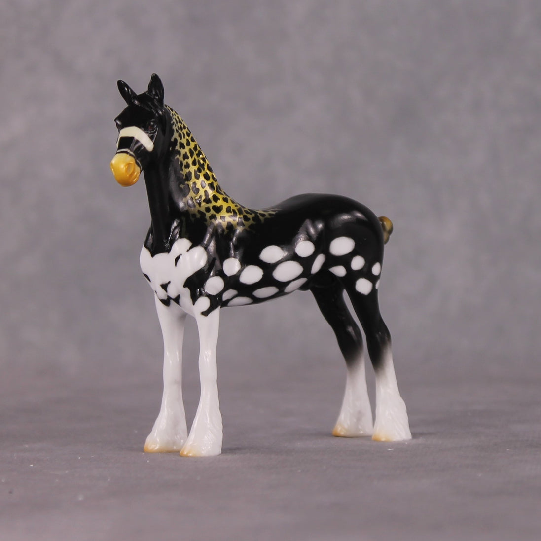 "Clown Trigger" OOAK Glossy Clown Triggerfish Inspired Draft Chip by Jess Hamill