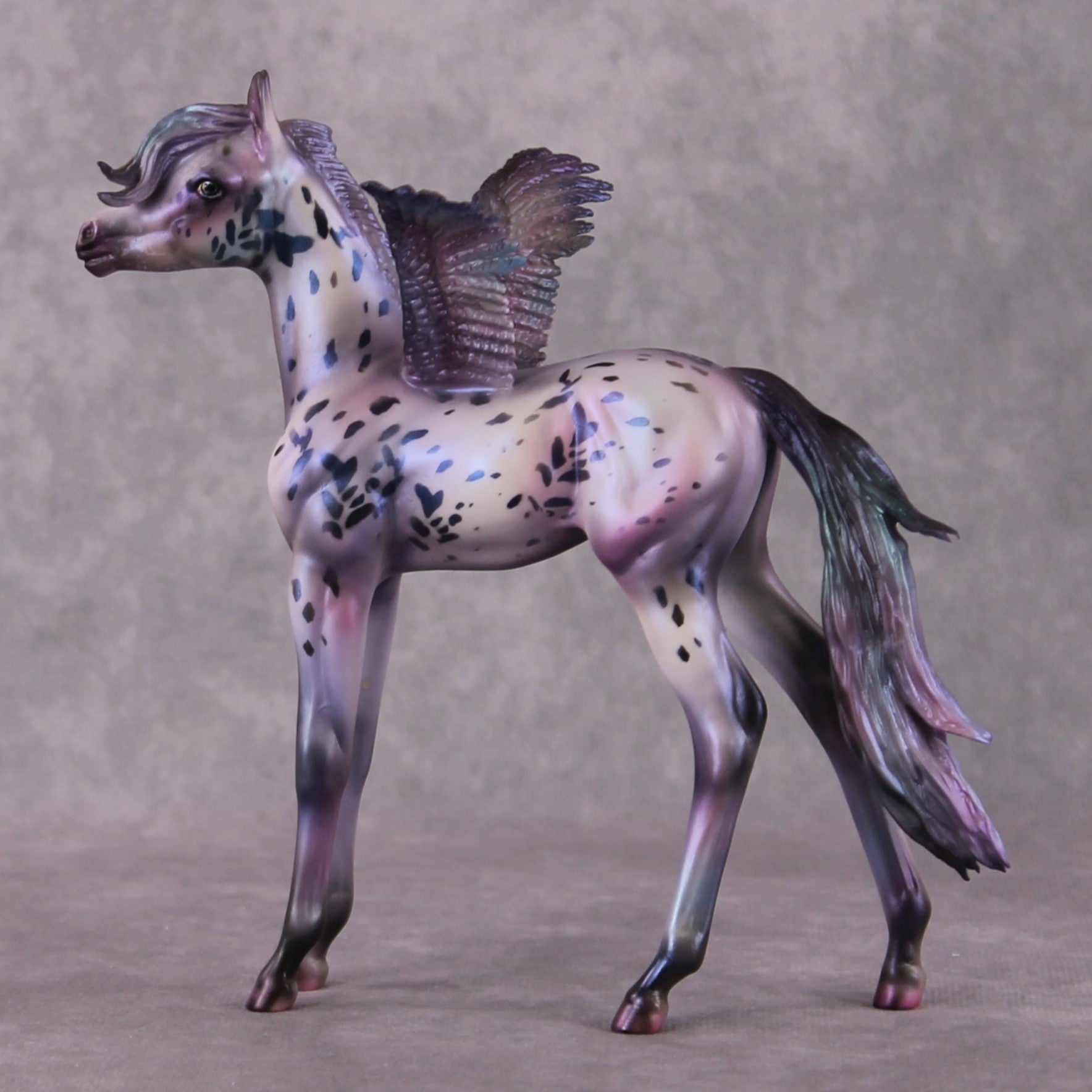 PegaSis OOAK Arab Foal Painted By Julie Keim HS24 Best Offer