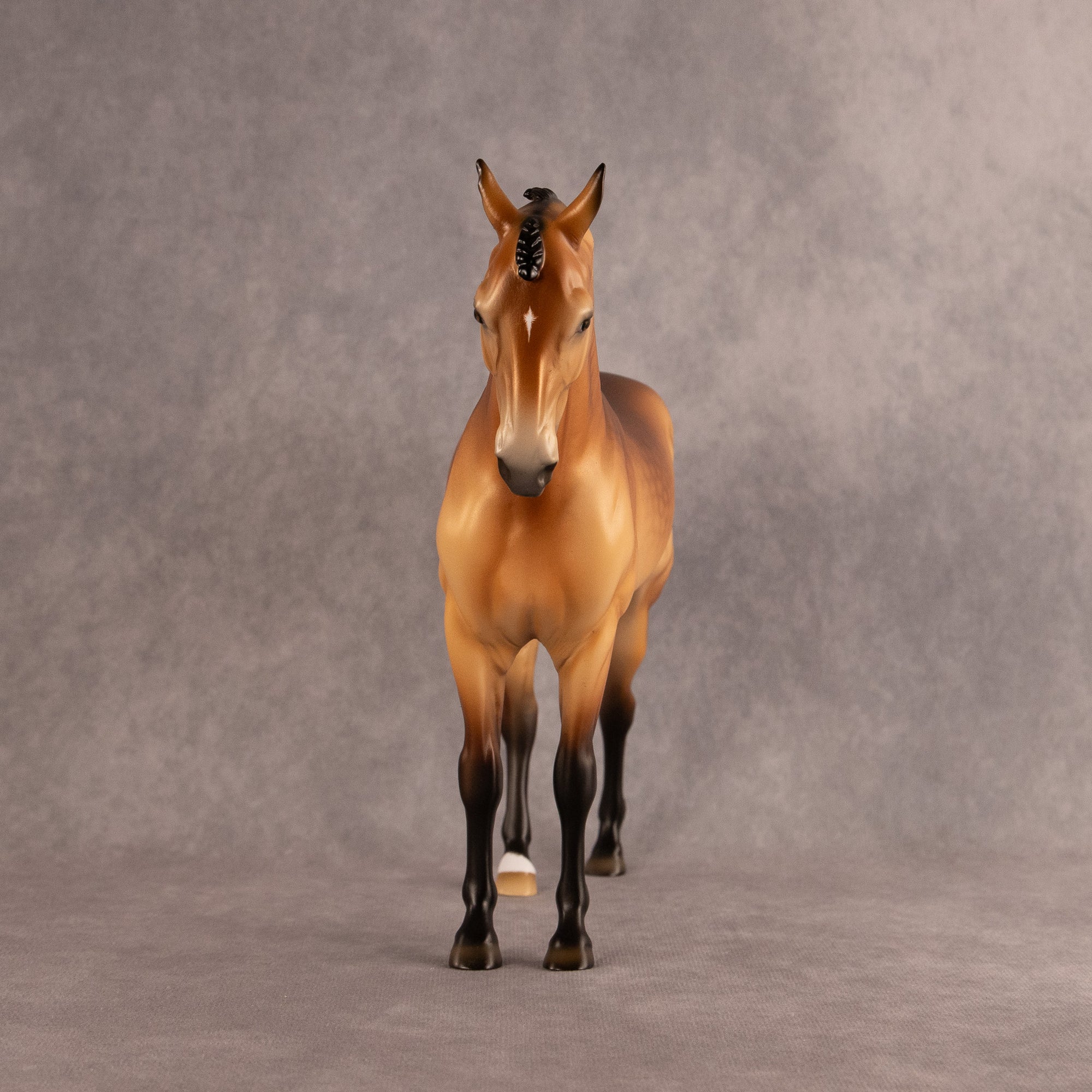 Latitude of Stars OOAK FCM Andalusian by Ellen Robbins EQ26