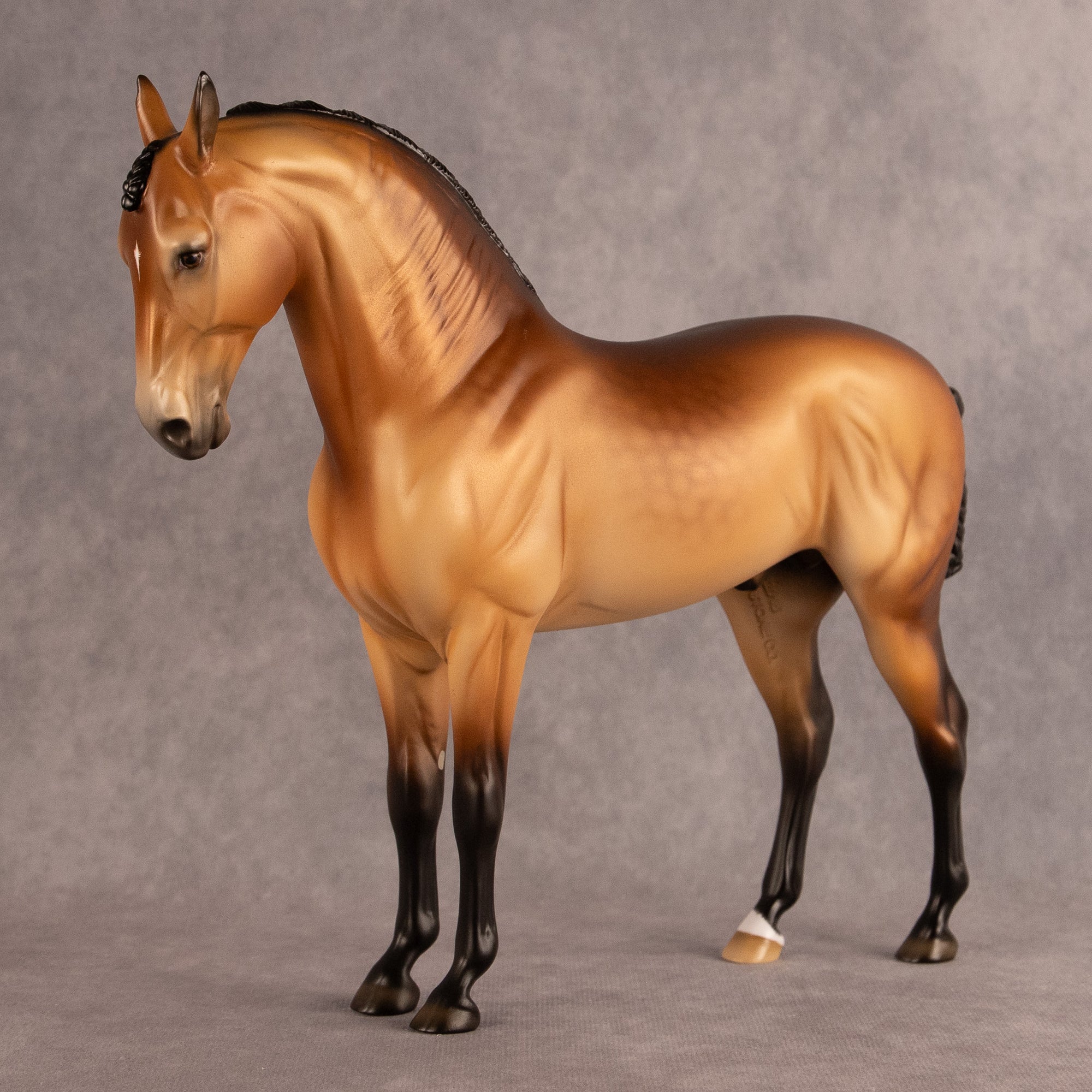 Latitude of Stars OOAK FCM Andalusian by Ellen Robbins EQ26