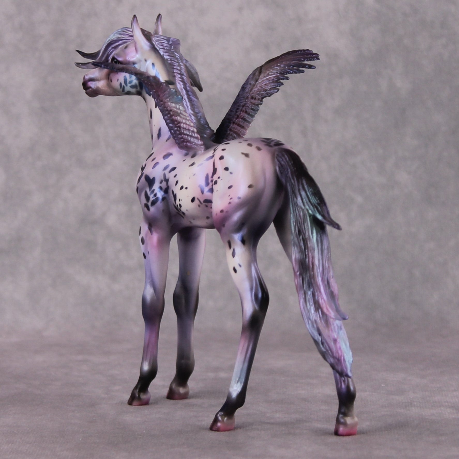 PegaSis OOAK Arab Foal Painted By Julie Keim HS24 Best Offer