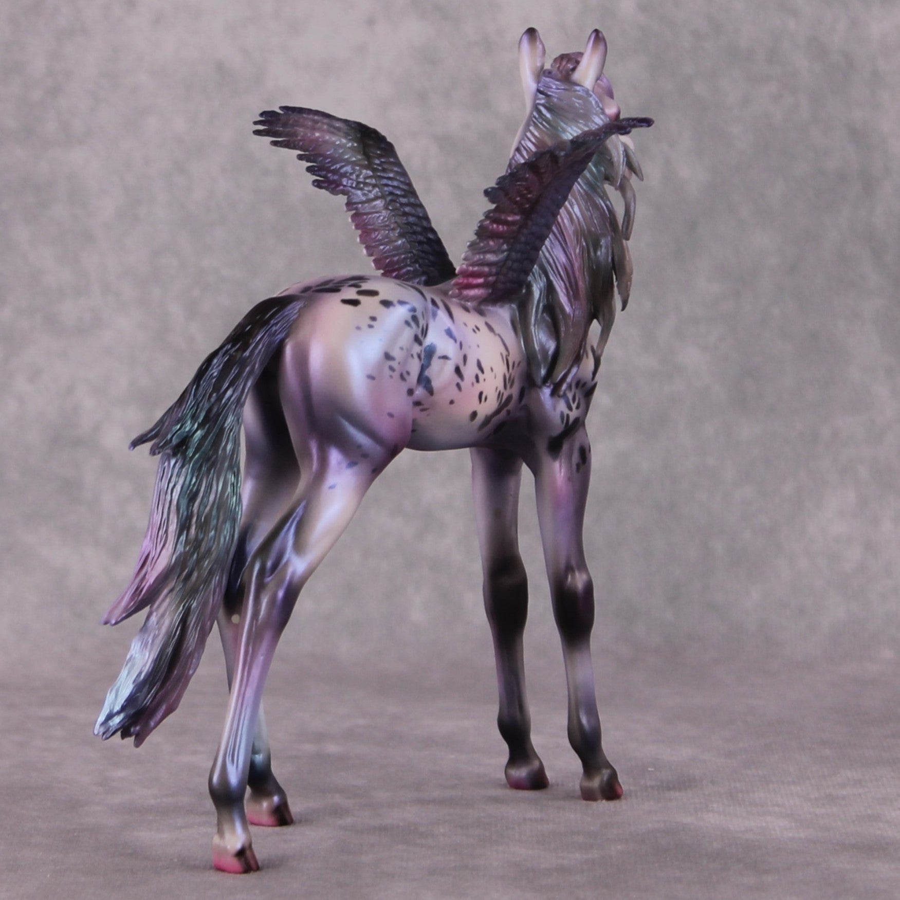 PegaSis OOAK Arab Foal Painted By Julie Keim HS24 Best Offer
