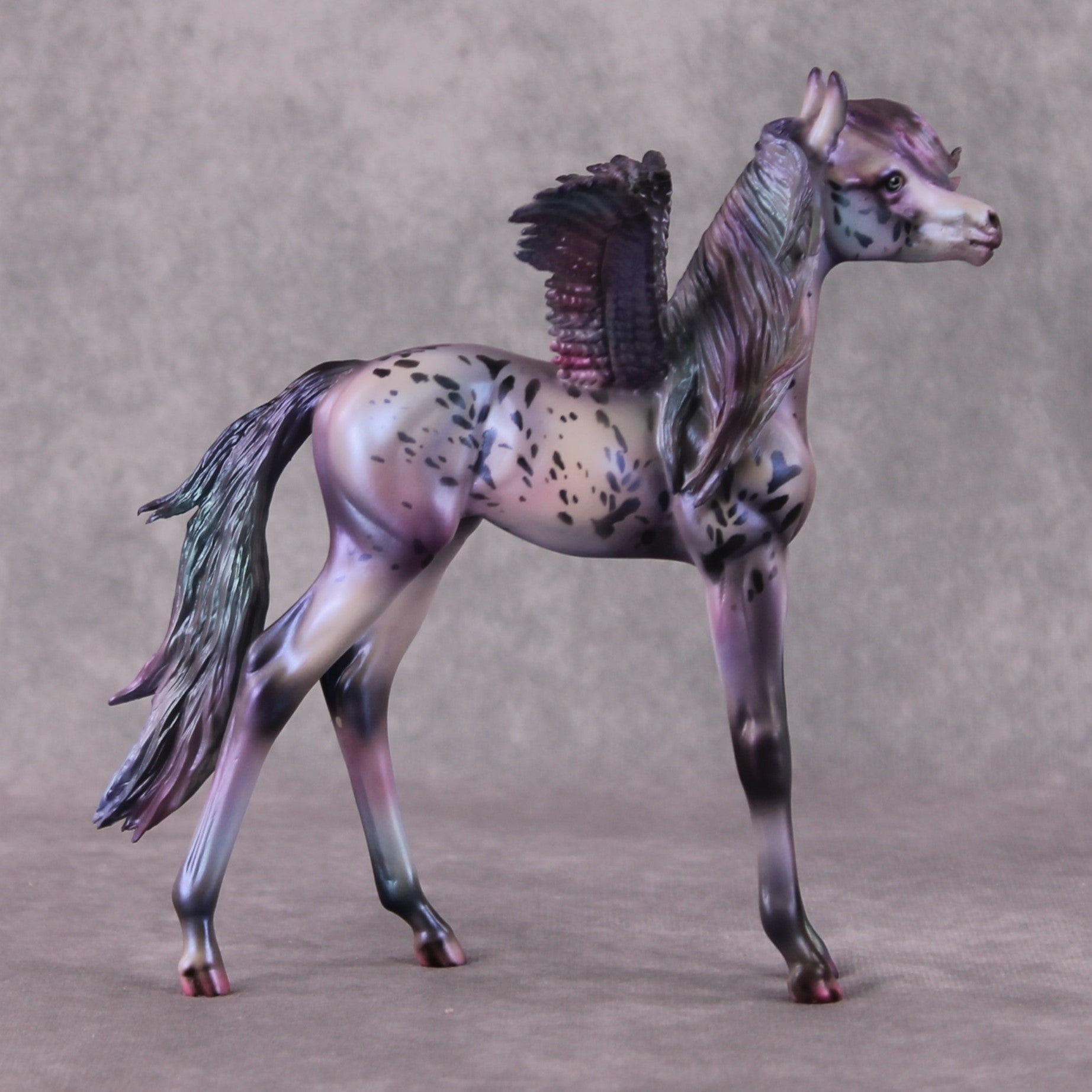 PegaSis OOAK Arab Foal Painted By Julie Keim HS24 Best Offer