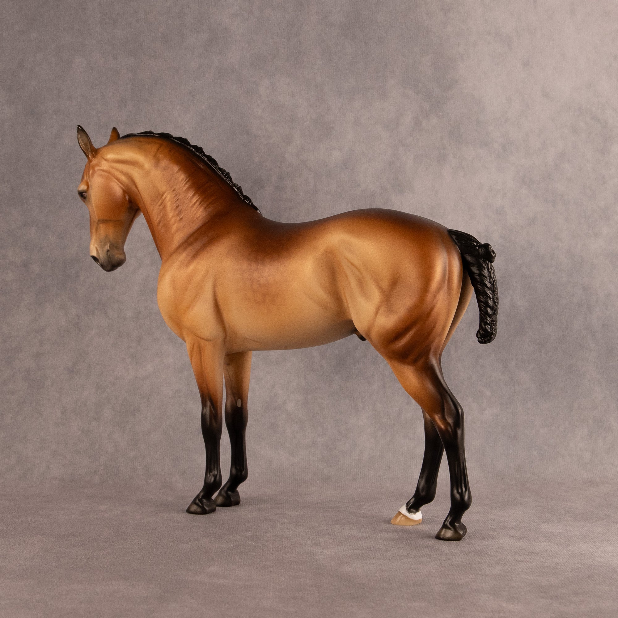 Latitude of Stars OOAK FCM Andalusian by Ellen Robbins EQ26