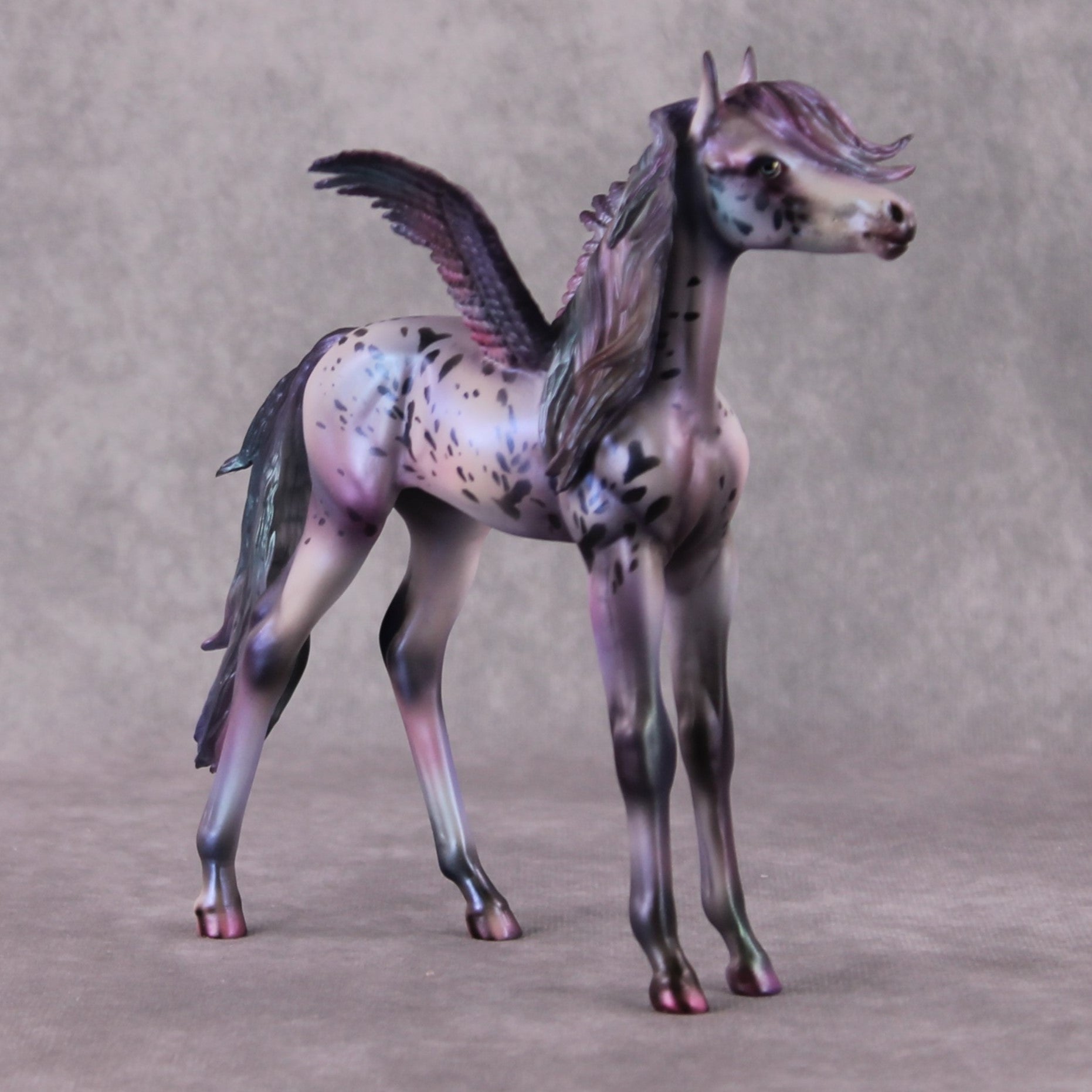 PegaSis OOAK Arab Foal Painted By Julie Keim HS24 Best Offer
