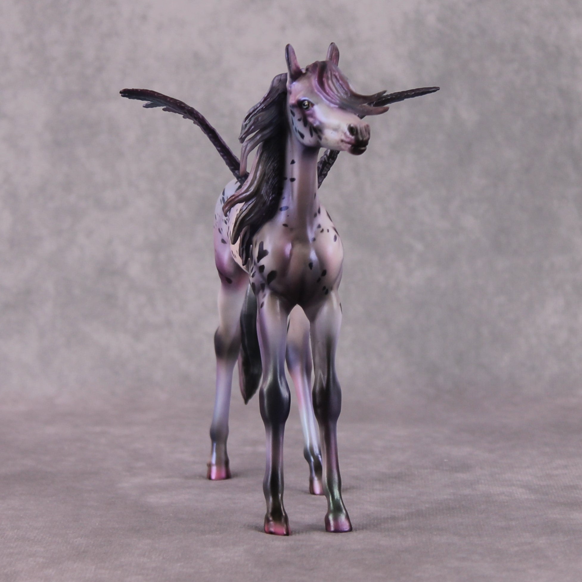 PegaSis OOAK Arab Foal Painted By Julie Keim HS24 Best Offer