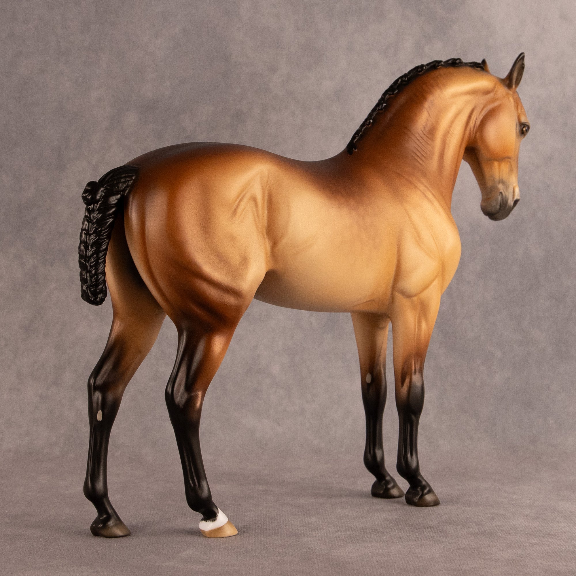 Latitude of Stars OOAK FCM Andalusian by Ellen Robbins EQ26