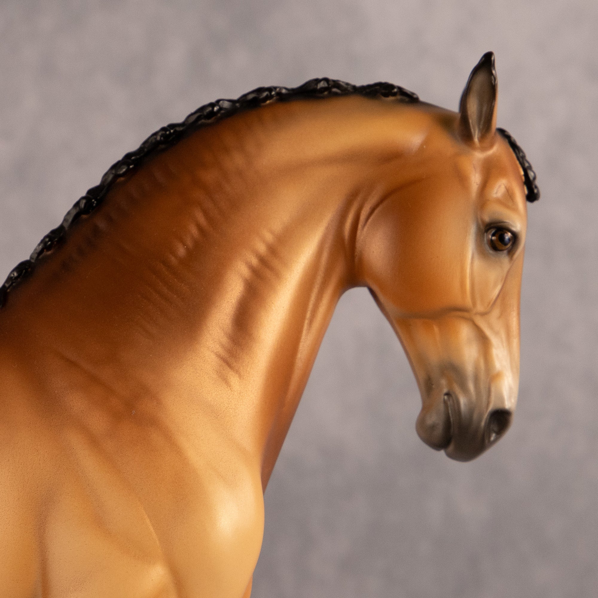 Latitude of Stars OOAK FCM Andalusian by Ellen Robbins EQ26