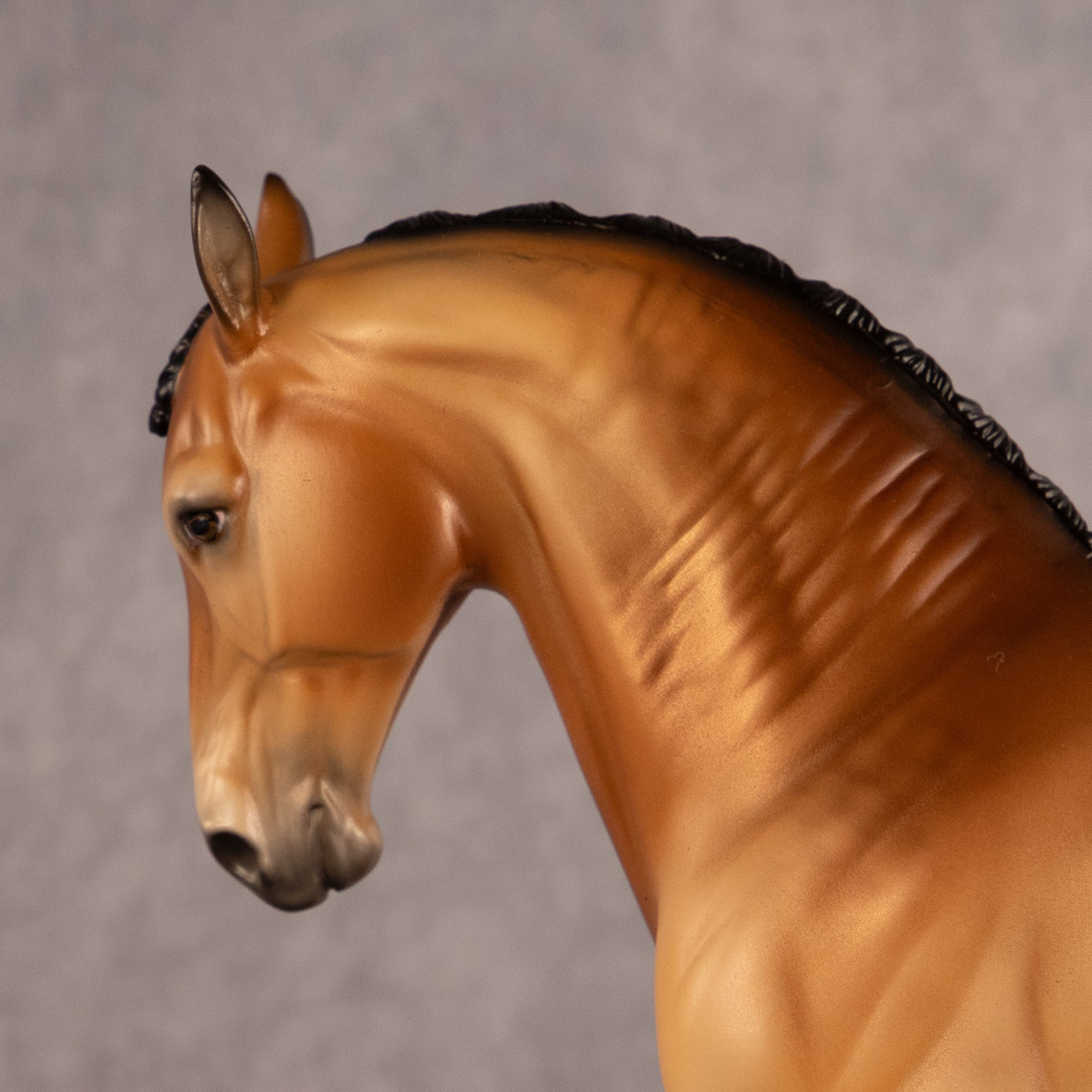 Latitude of Stars OOAK FCM Andalusian by Ellen Robbins EQ26