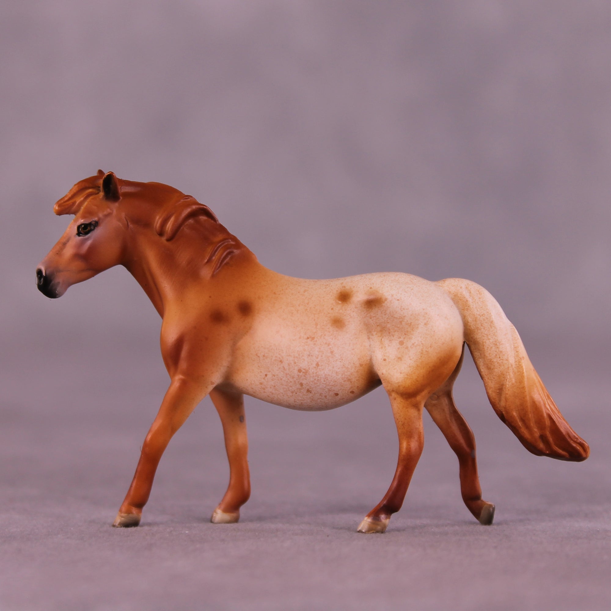 Margarida Sample Chip Pony by Dawn Quick SS925
