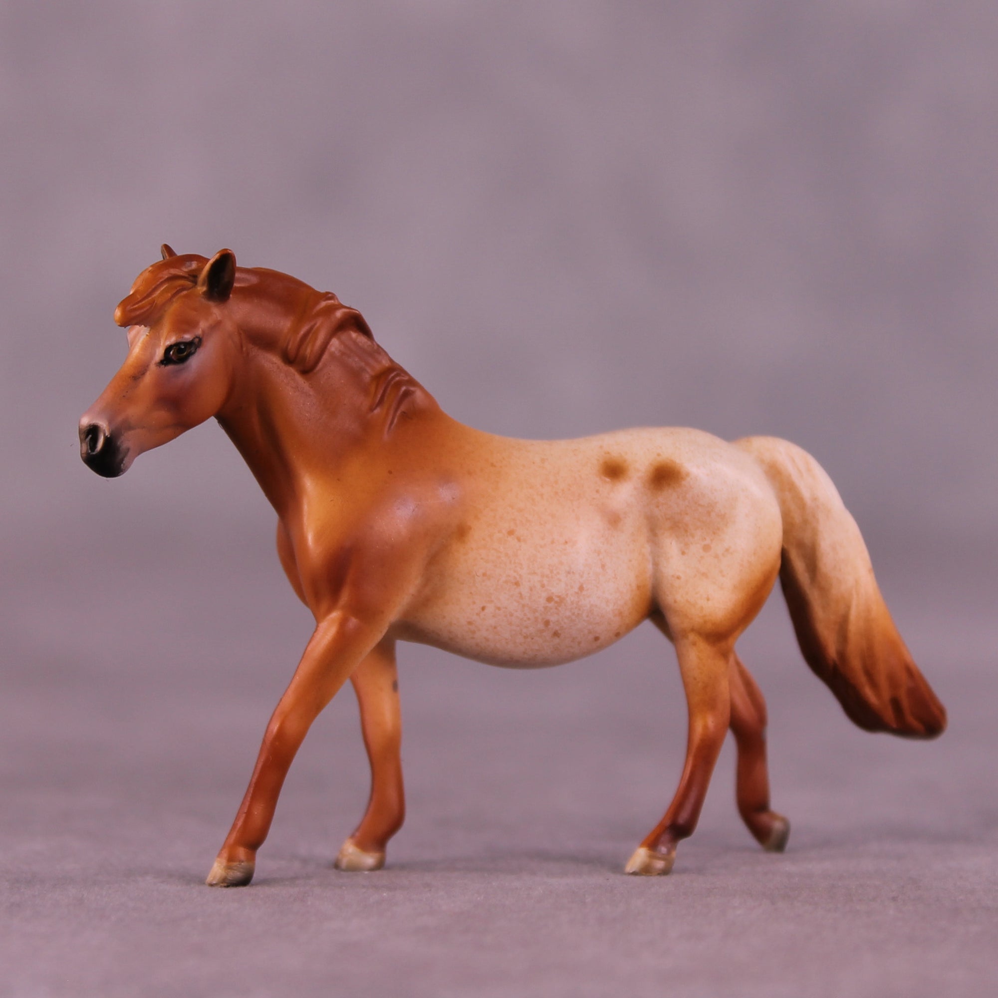 Margarida Sample Chip Pony by Dawn Quick SS925