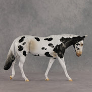 Muletastically Eloquent LE-15 EFCM Mule by Anna Rieck PFP26