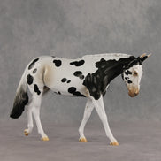 Muletastically Eloquent LE-15 EFCM Mule by Anna Rieck PFP26