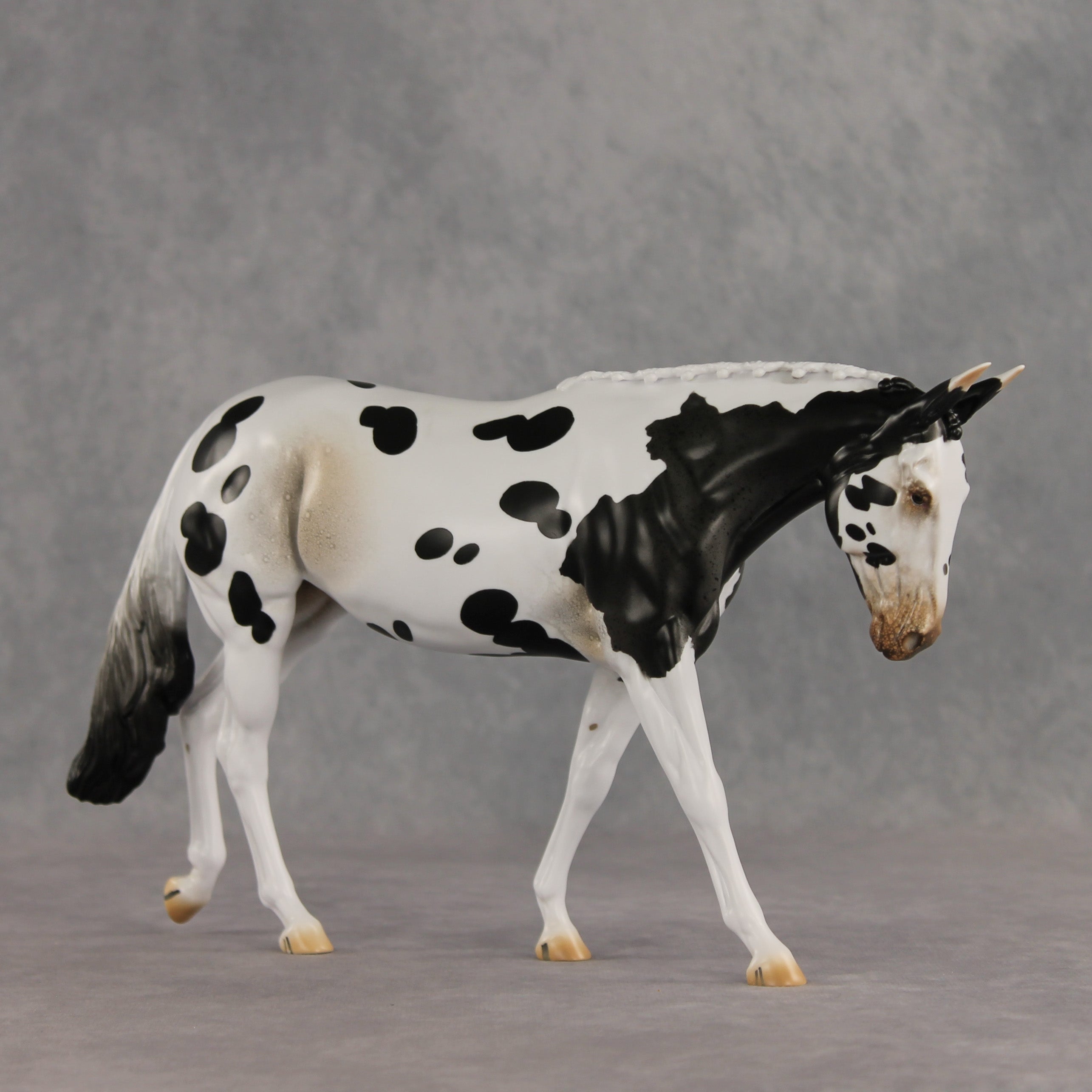 Muletastically Eloquent LE-15 EFCM Mule by Anna Rieck PFP26