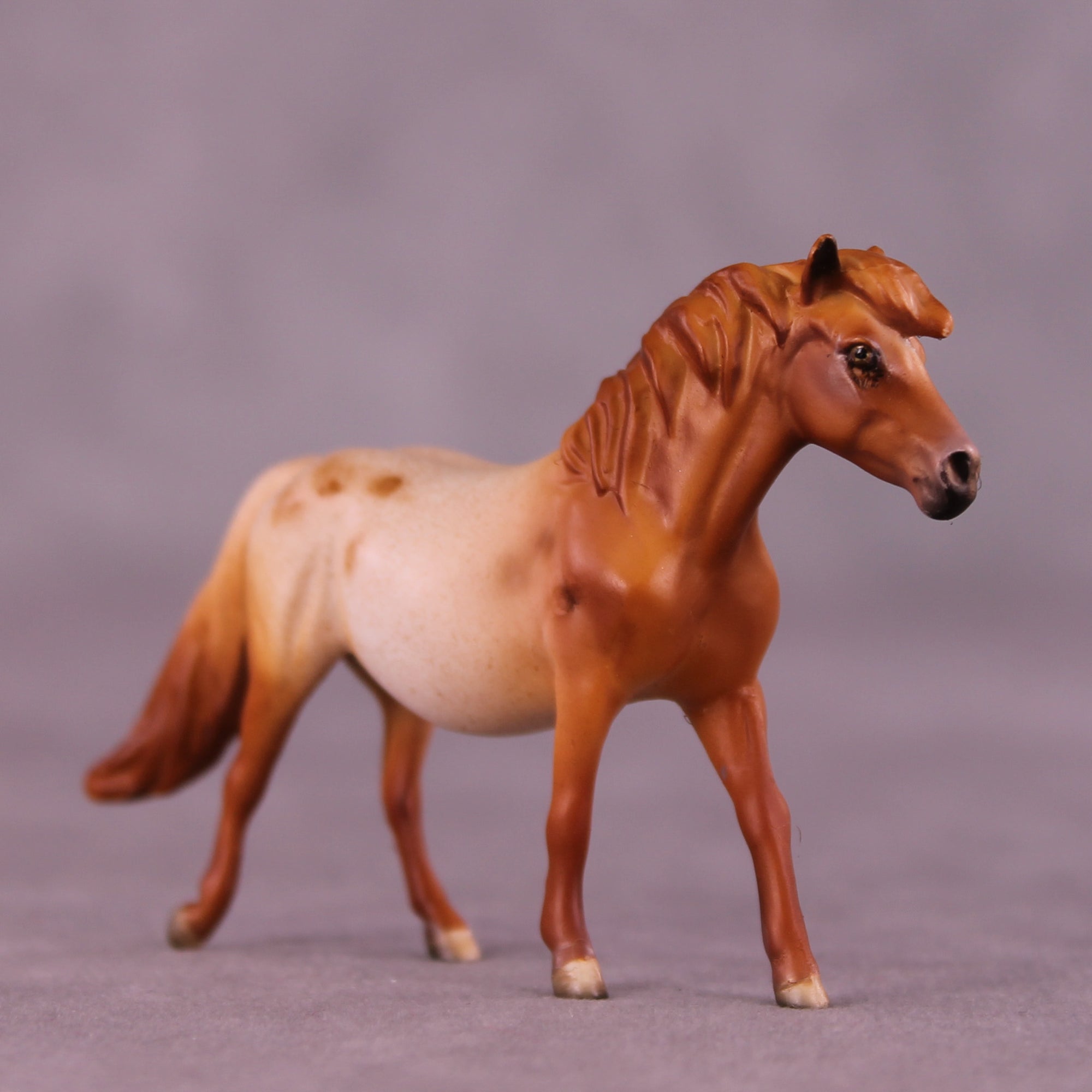 Margarida Sample Chip Pony by Dawn Quick SS925