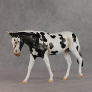Muletastically Eloquent LE-15 EFCM Mule by Anna Rieck PFP26