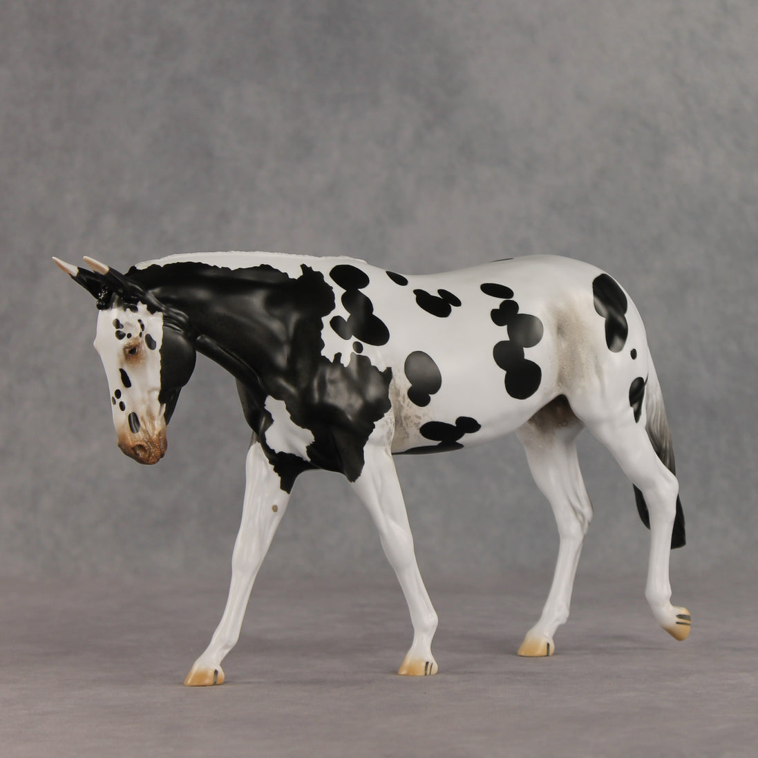 Muletastically Eloquent LE-15 EFCM Mule by Anna Rieck PFP26