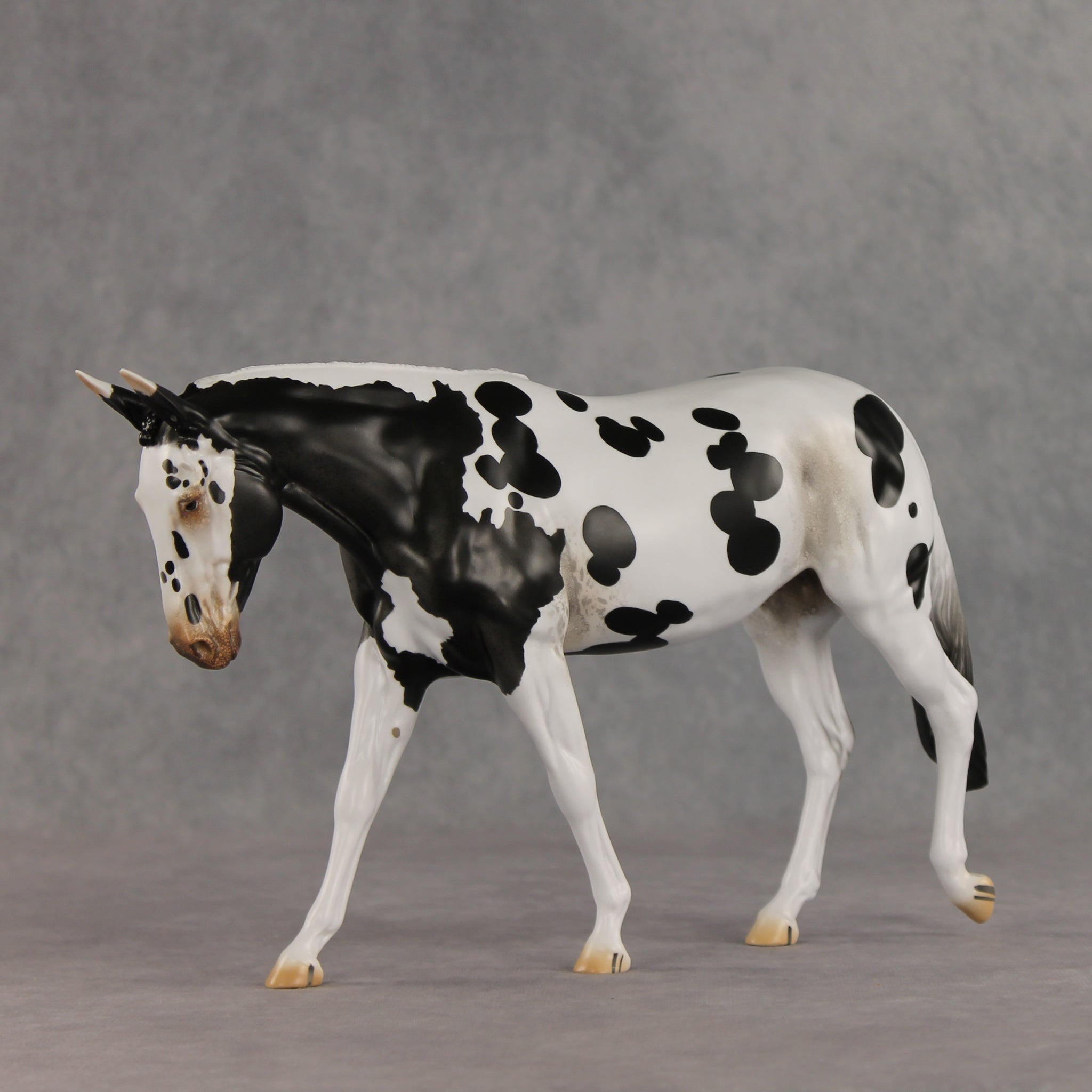 Muletastically Eloquent LE-15 EFCM Mule by Anna Rieck PFP26