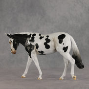 Muletastically Eloquent LE-15 EFCM Mule by Anna Rieck PFP26