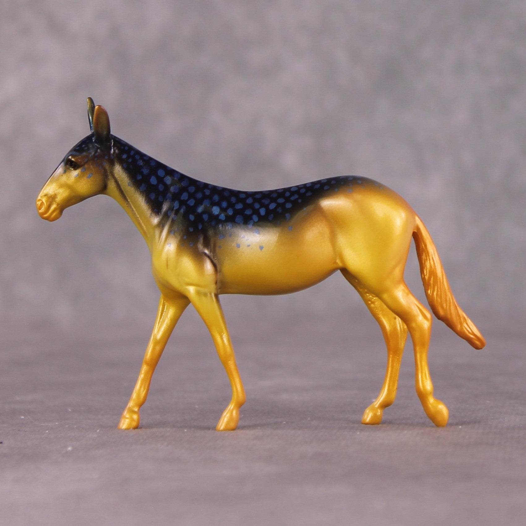 "Damsel" OOAK Glossy Beaugregory Fish Inspired Mule Chip by Jess Hamill