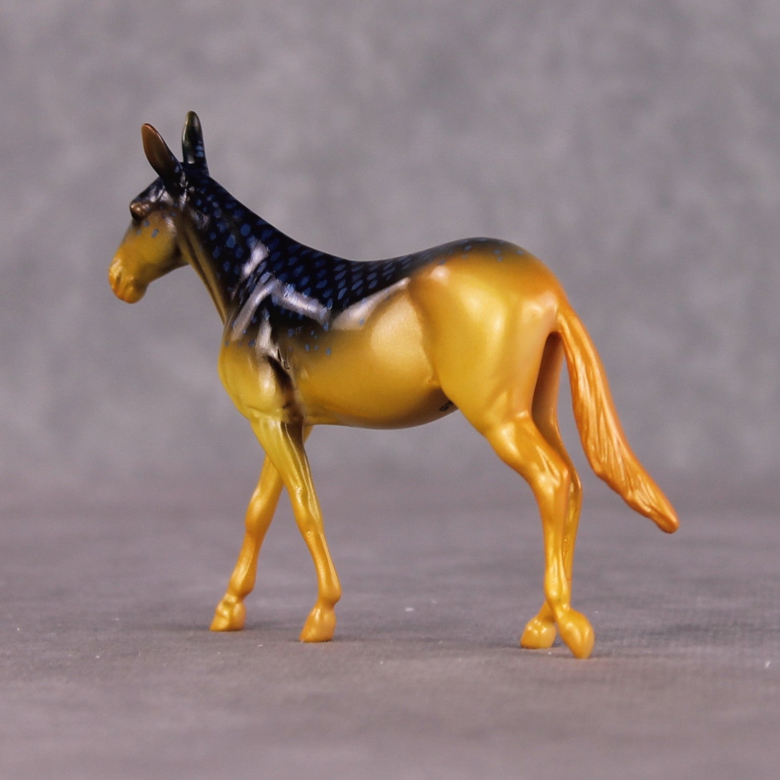 "Damsel" OOAK Glossy Beaugregory Fish Inspired Mule Chip by Jess Hamill