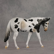 Muletastically Eloquent LE-15 EFCM Mule by Anna Rieck PFP26