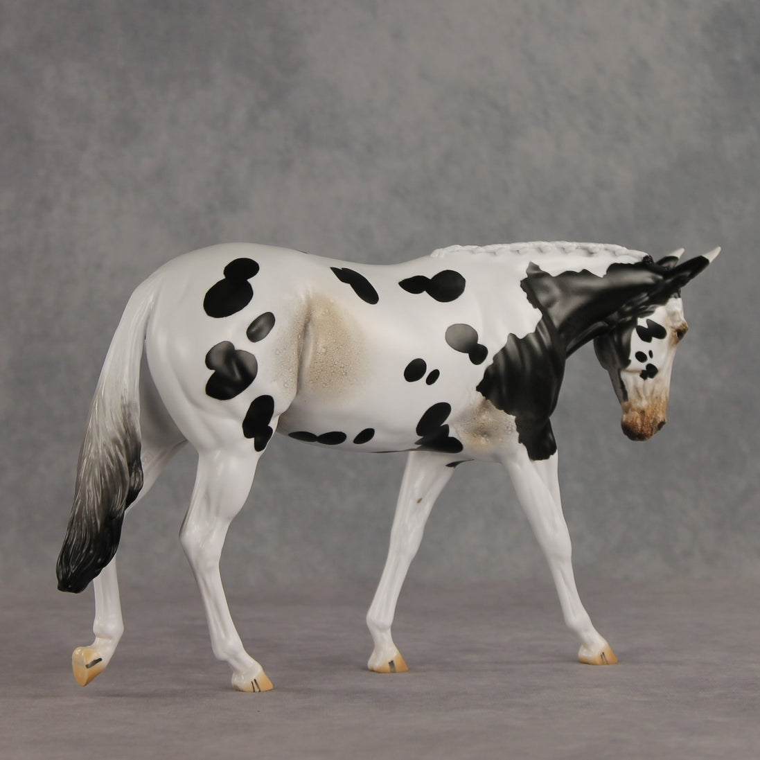 Muletastically Eloquent LE-15 EFCM Mule by Anna Rieck PFP26