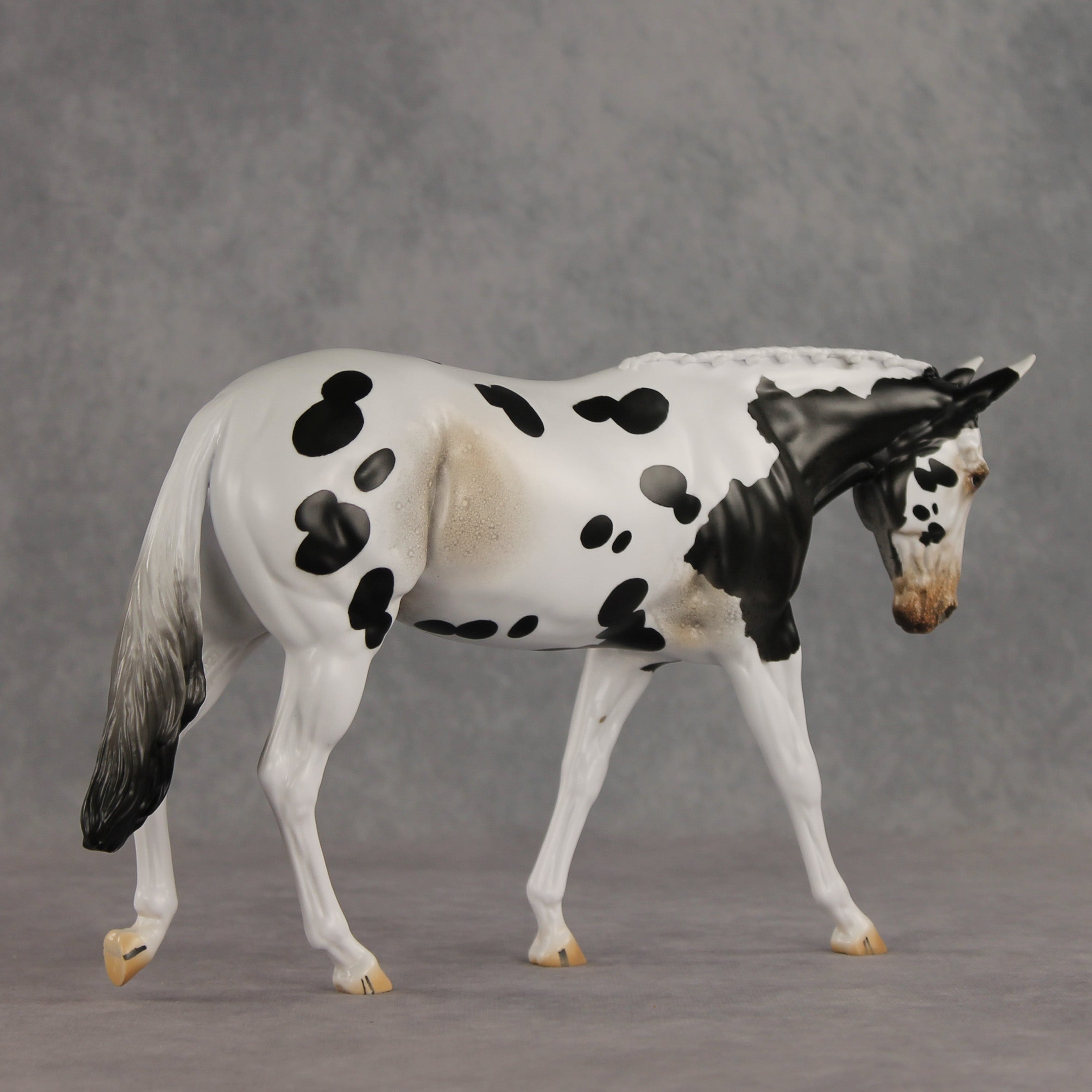Muletastically Eloquent LE-15 EFCM Mule by Anna Rieck PFP26