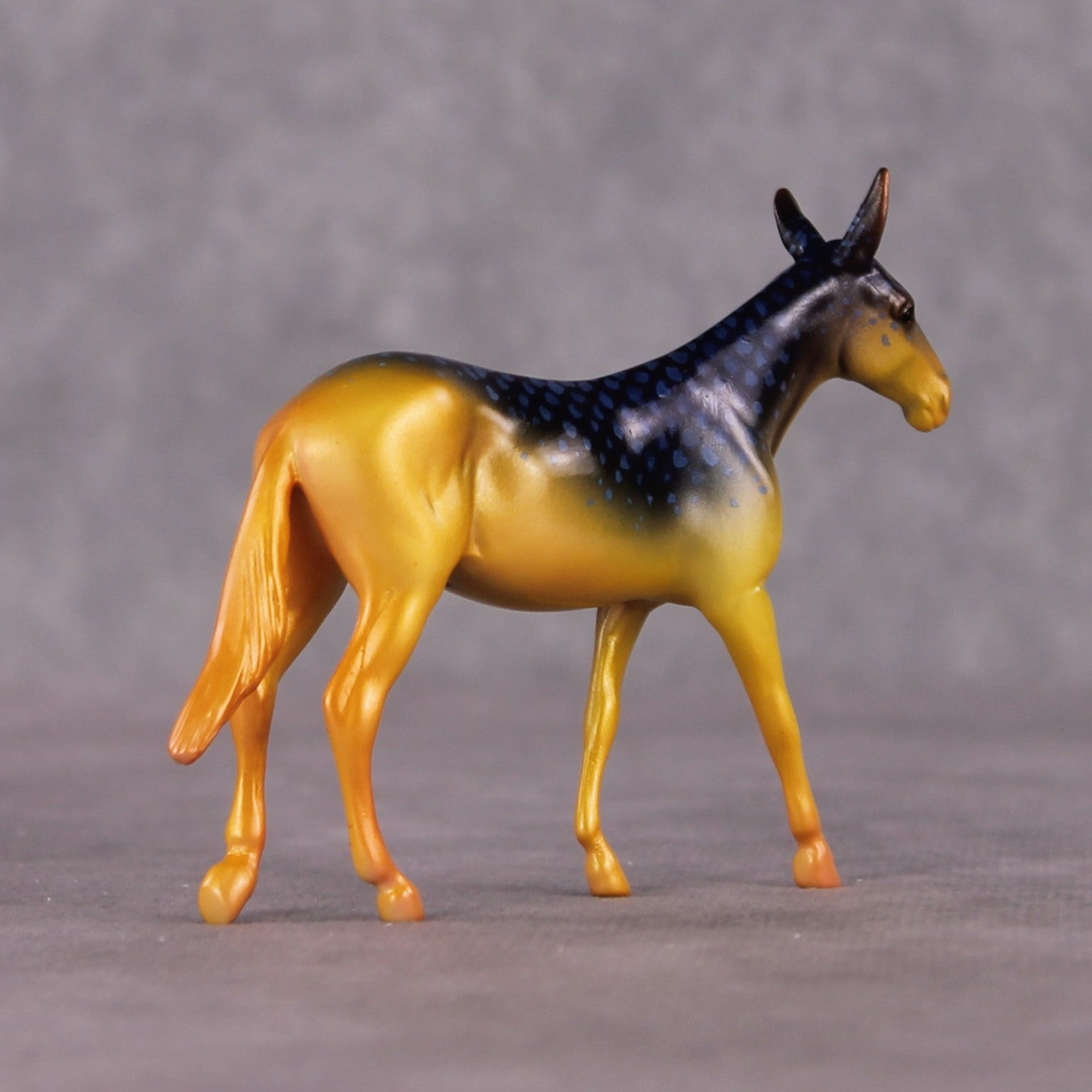 "Damsel" OOAK Glossy Beaugregory Fish Inspired Mule Chip by Jess Hamill