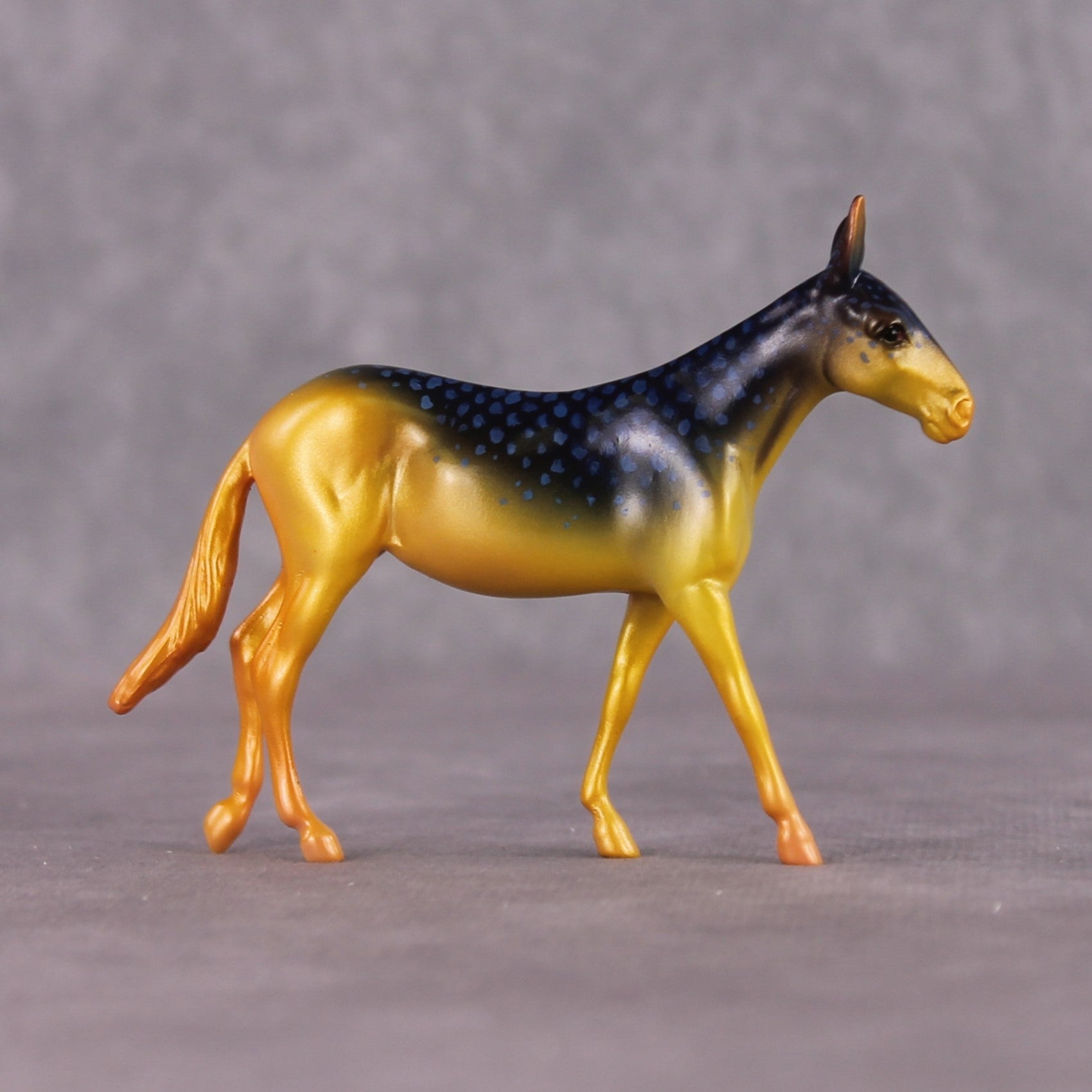 "Damsel" OOAK Glossy Beaugregory Fish Inspired Mule Chip by Jess Hamill