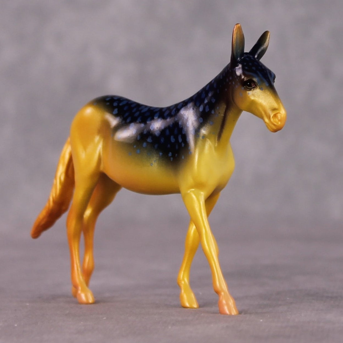 "Damsel" OOAK Glossy Beaugregory Fish Inspired Mule Chip by Jess Hamill