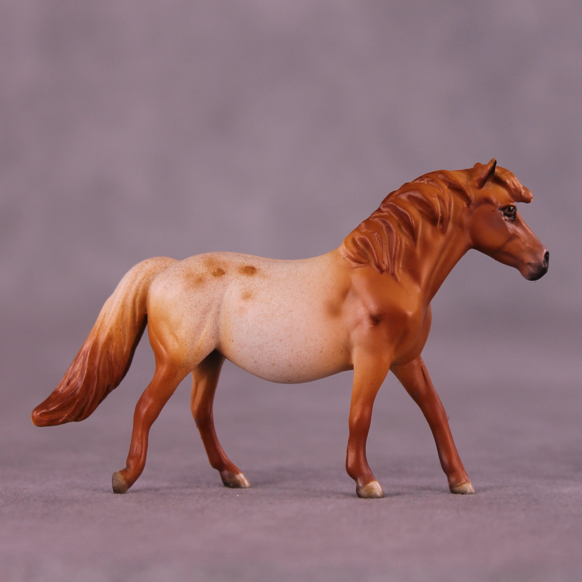 Margarida Sample Chip Pony by Dawn Quick SS925