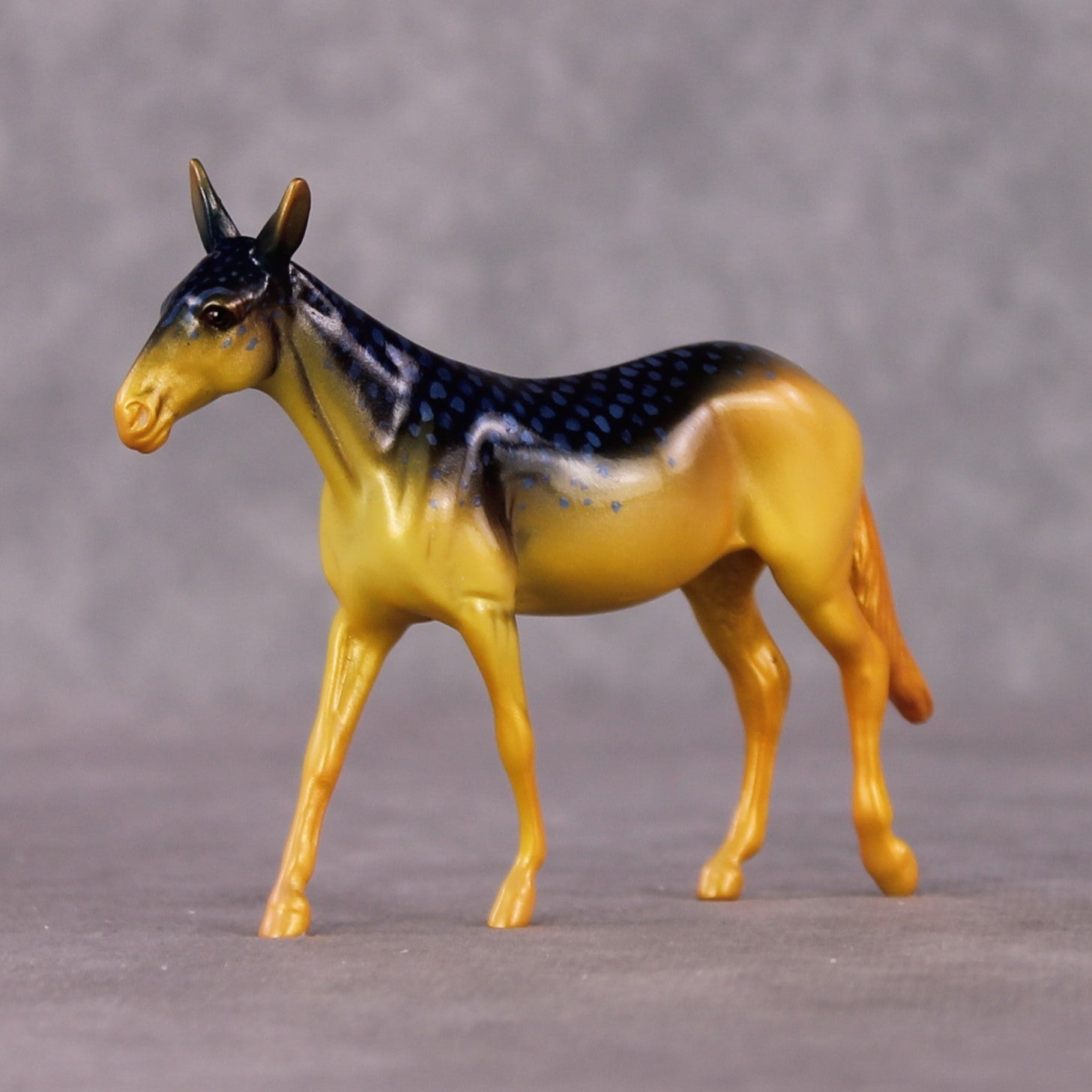 "Damsel" OOAK Glossy Beaugregory Fish Inspired Mule Chip by Jess Hamill