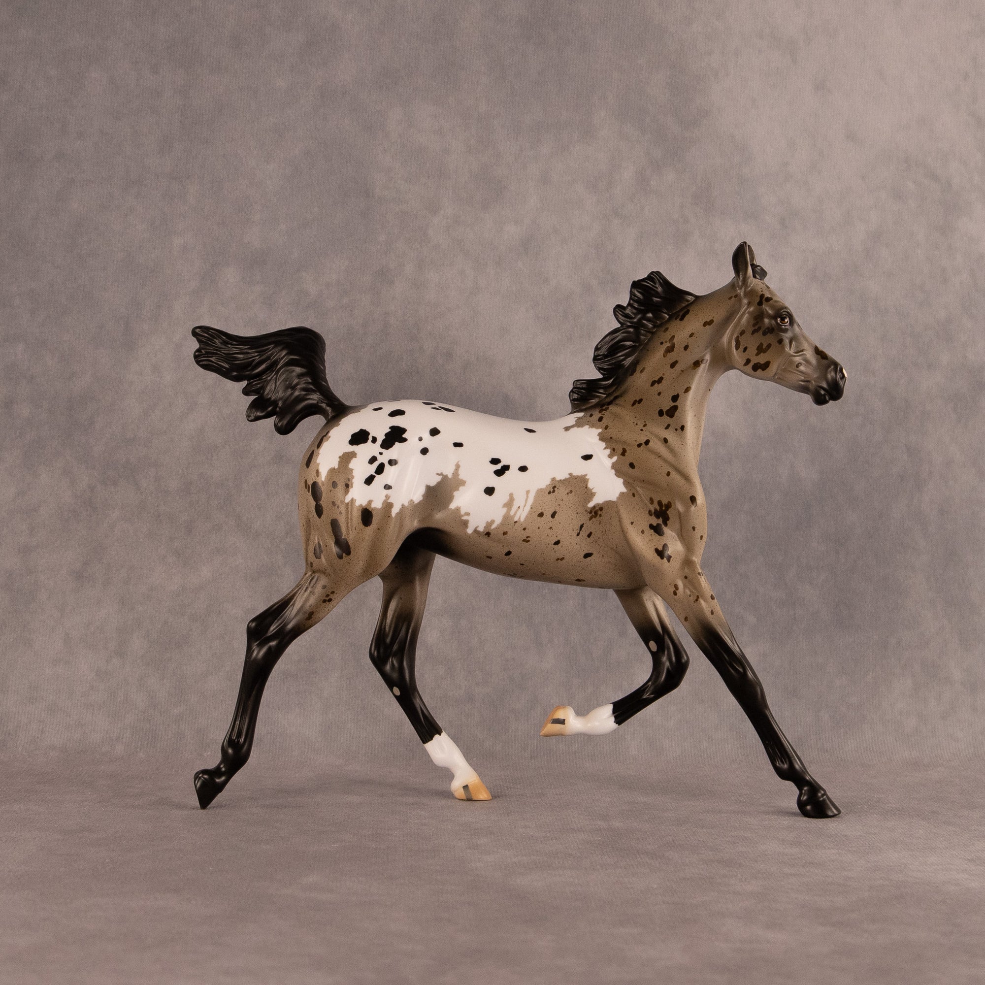 Astoria OOAK FCM Arabian Yearling by Anna Rieck EQ26
