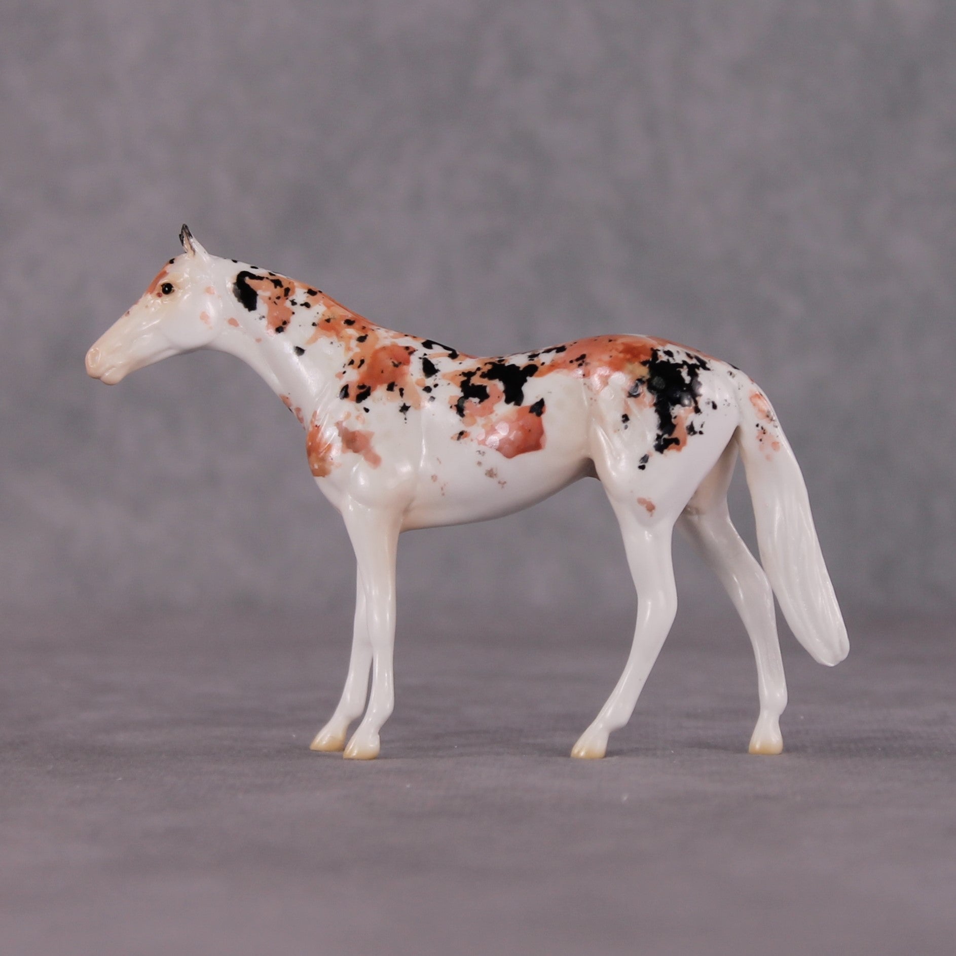 "Koincidence" OOAK Glossy Koi Inspired Thoroughbred Chip by Jess Hamill