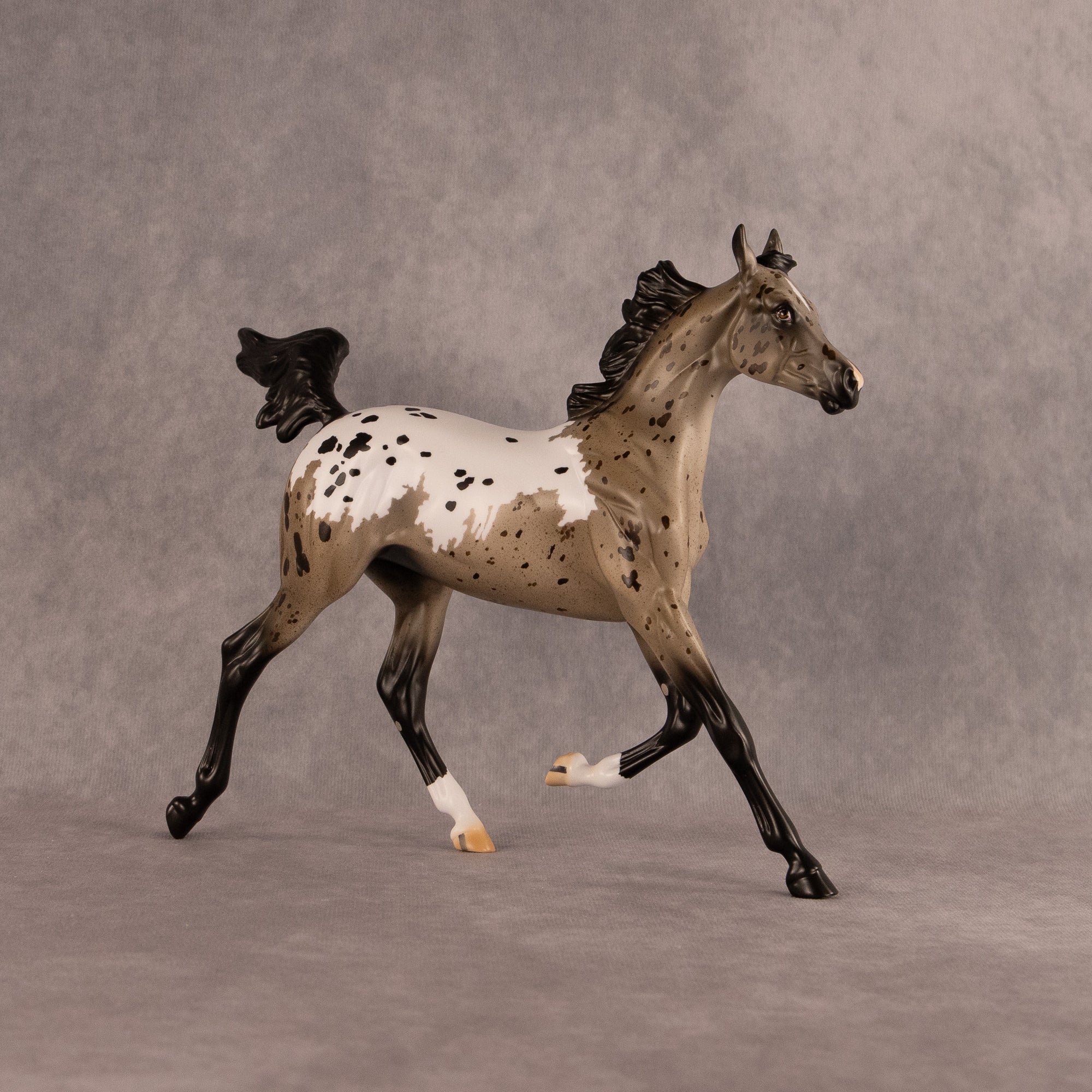 Astoria OOAK FCM Arabian Yearling by Anna Rieck EQ26
