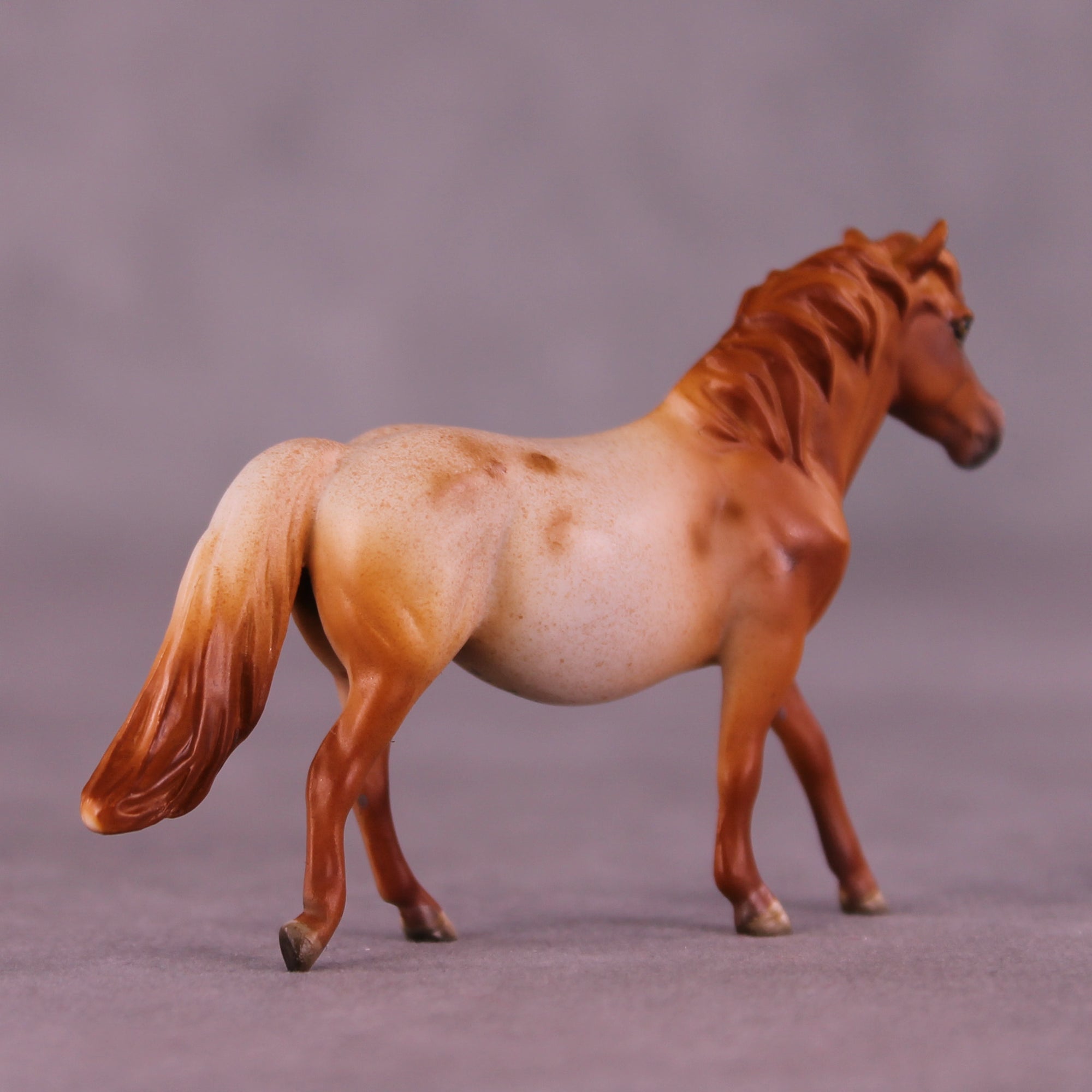 Margarida Sample Chip Pony by Dawn Quick SS925